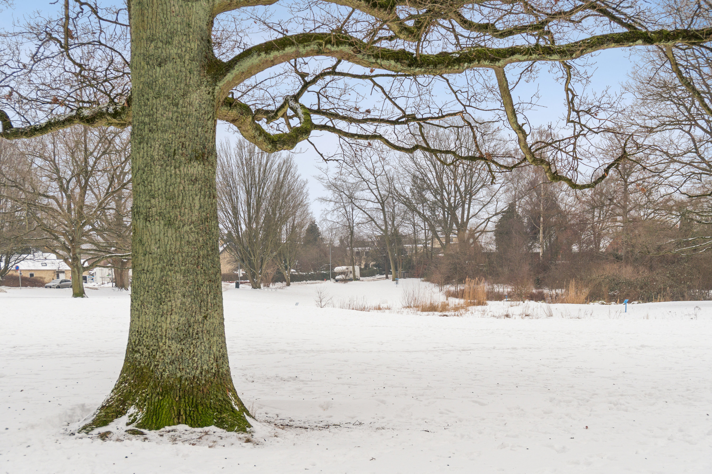 Fremhævet udendørs billede i fuldskærmstilstand. Billede af Frederiksdalsvej 103B, 2. th., 2830 Virum