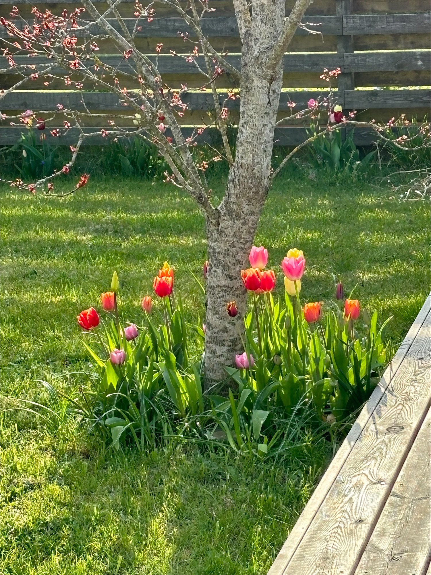 Fremhævet  billede i fuldskærmstilstand. Billede af Strandtoften 18, Skæring Strand, 8250 Egå