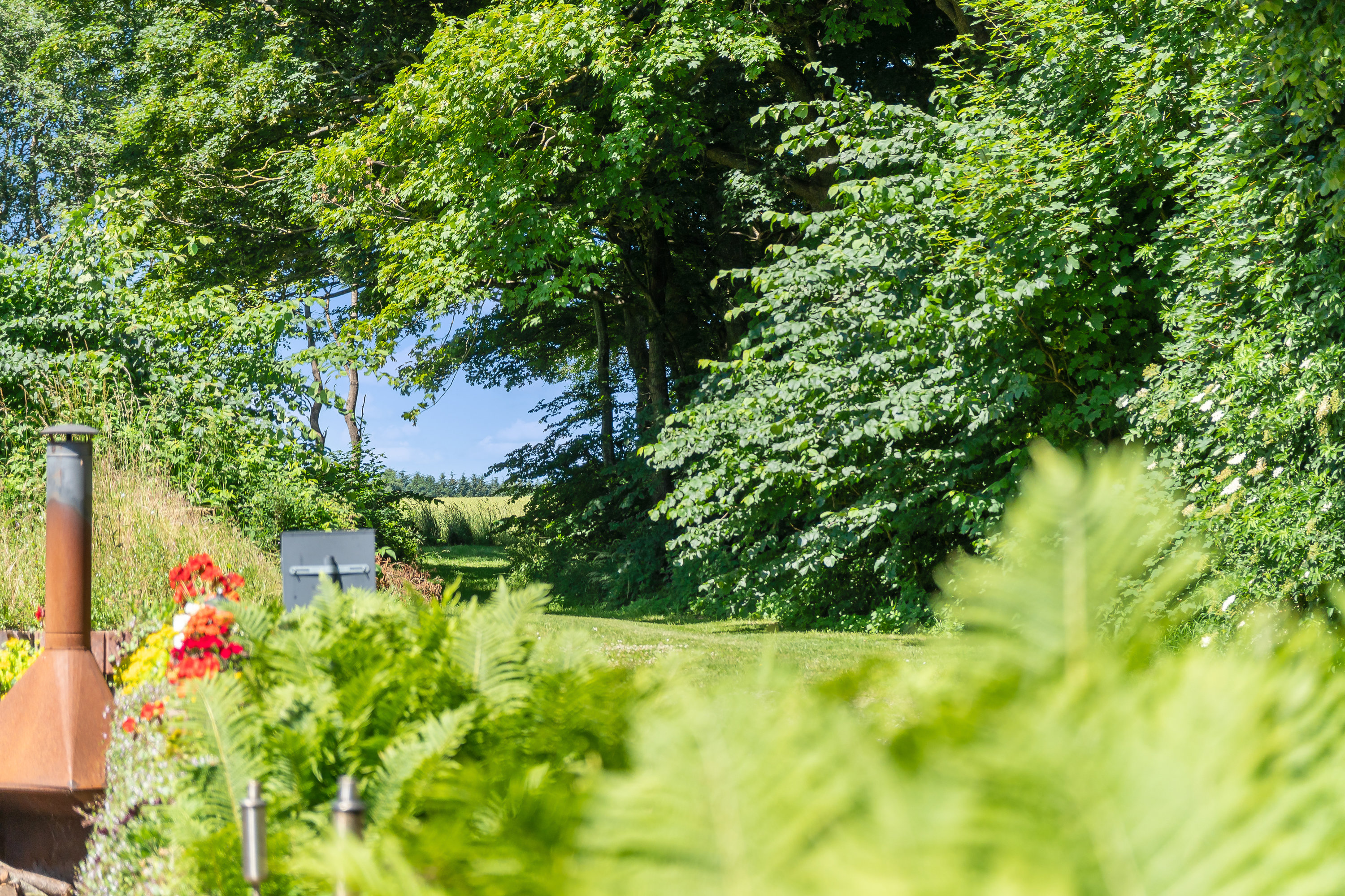 Fremhævet  billede i fuldskærmstilstand. Billede af Damager 9, 8920 Randers NV