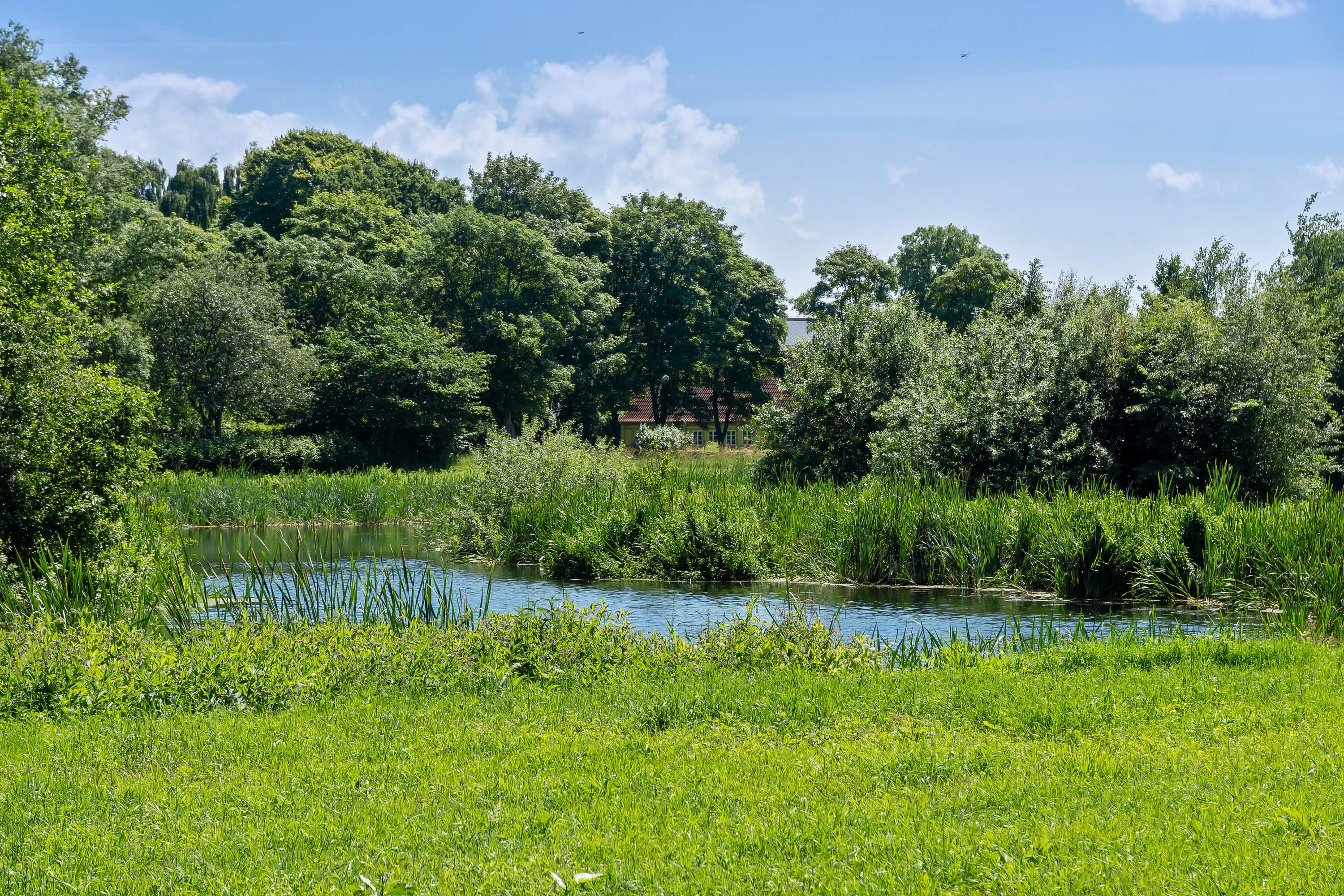 Damager 9, 8920 Randers NV