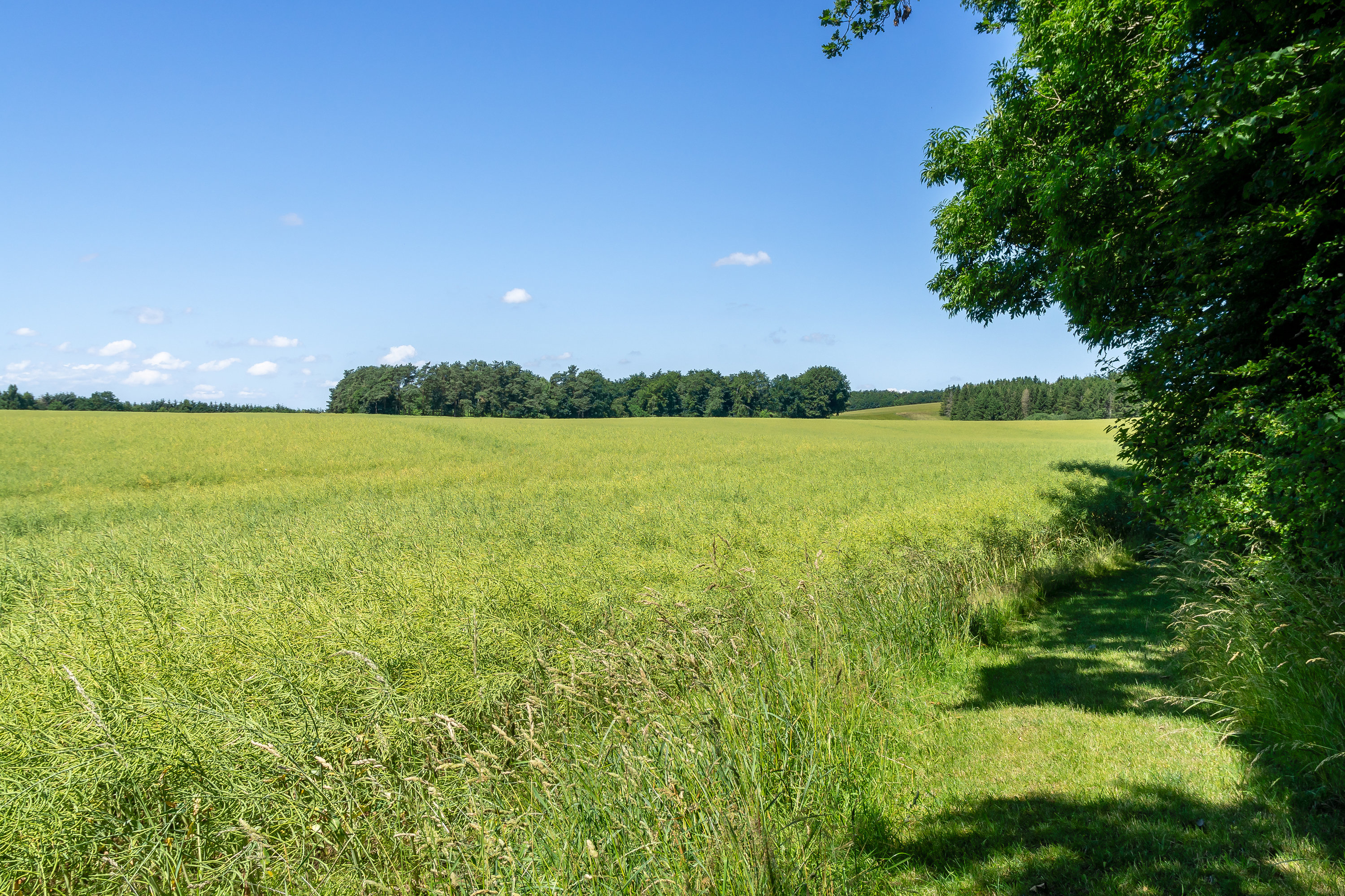 Fremhævet  billede i fuldskærmstilstand. Billede af Damager 9, 8920 Randers NV