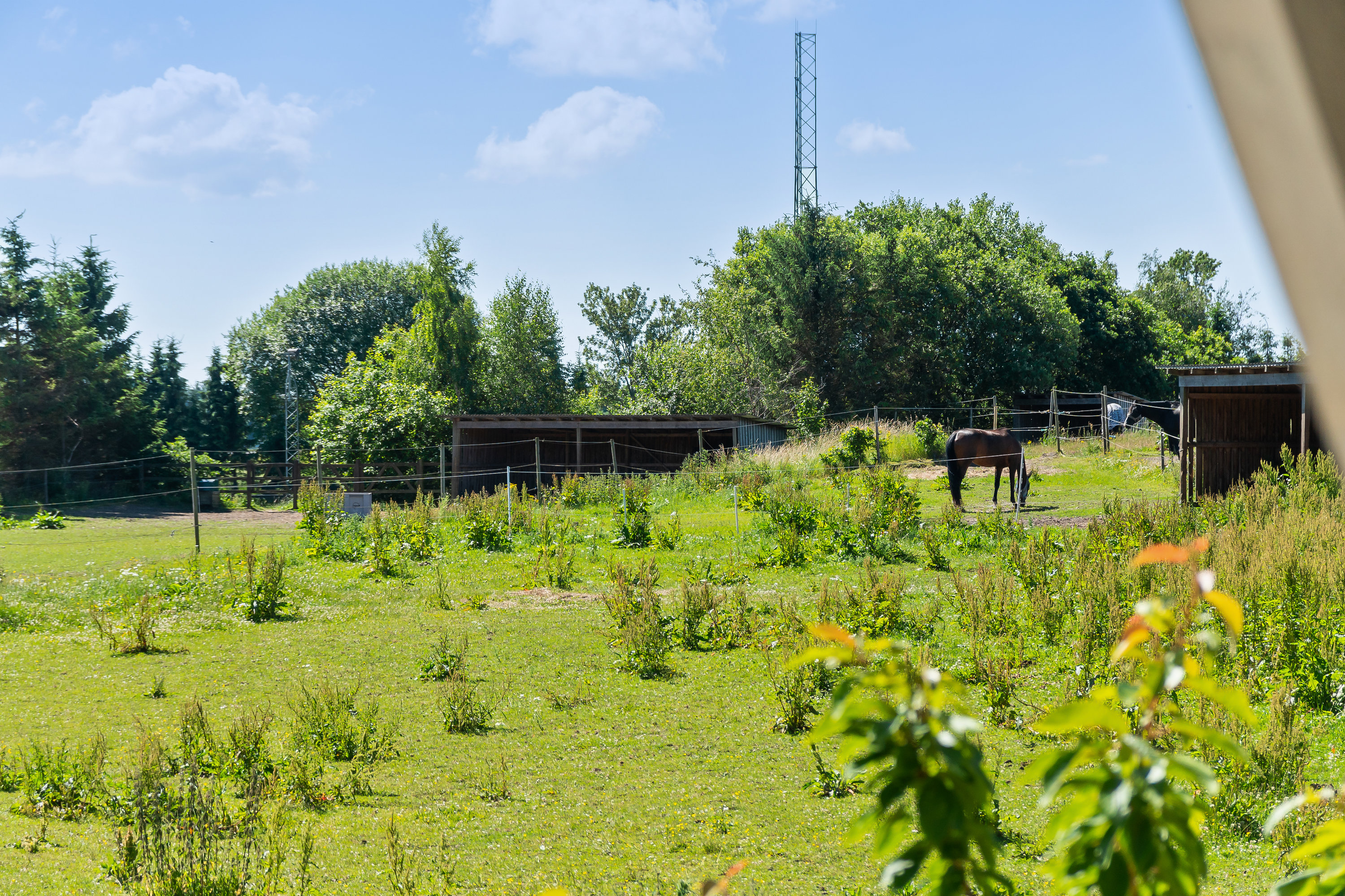 Fremhævet  billede i fuldskærmstilstand. Billede af Damager 9, 8920 Randers NV