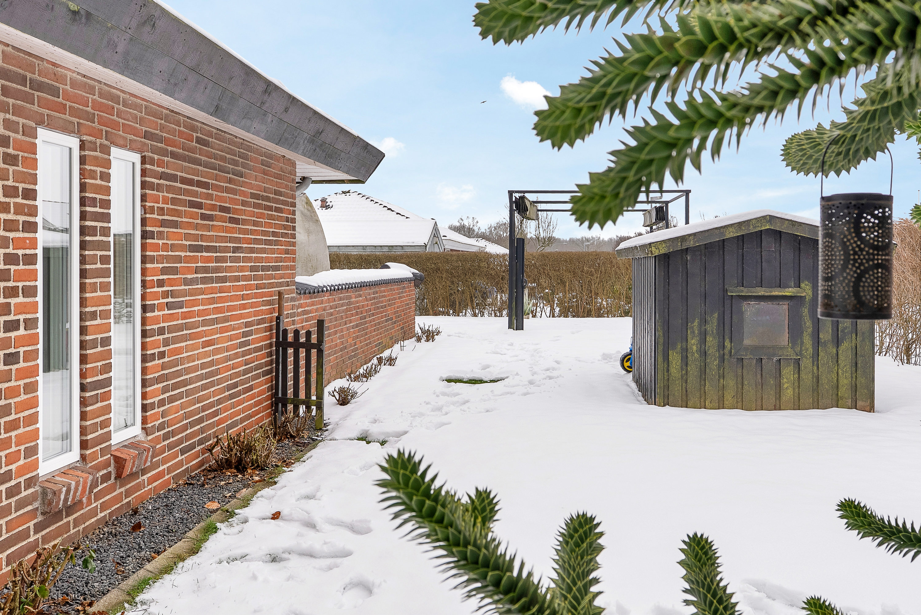 Fremhævet terrasse billede i fuldskærmstilstand. Billede af Mariehønevænget 12, Hjallese, 5260 Odense S