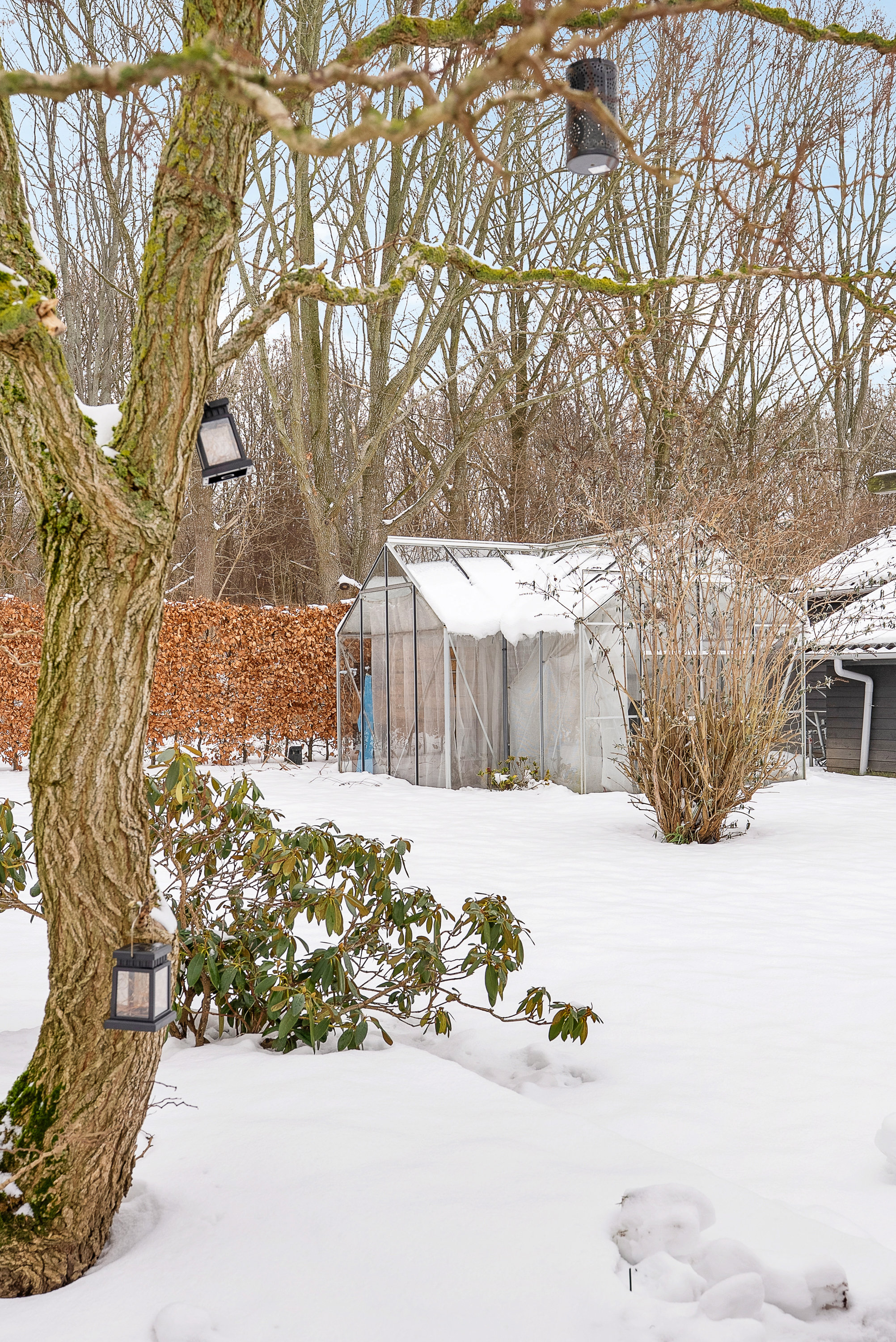 Fremhævet andet billede i fuldskærmstilstand. Billede af Mariehønevænget 12, Hjallese, 5260 Odense S