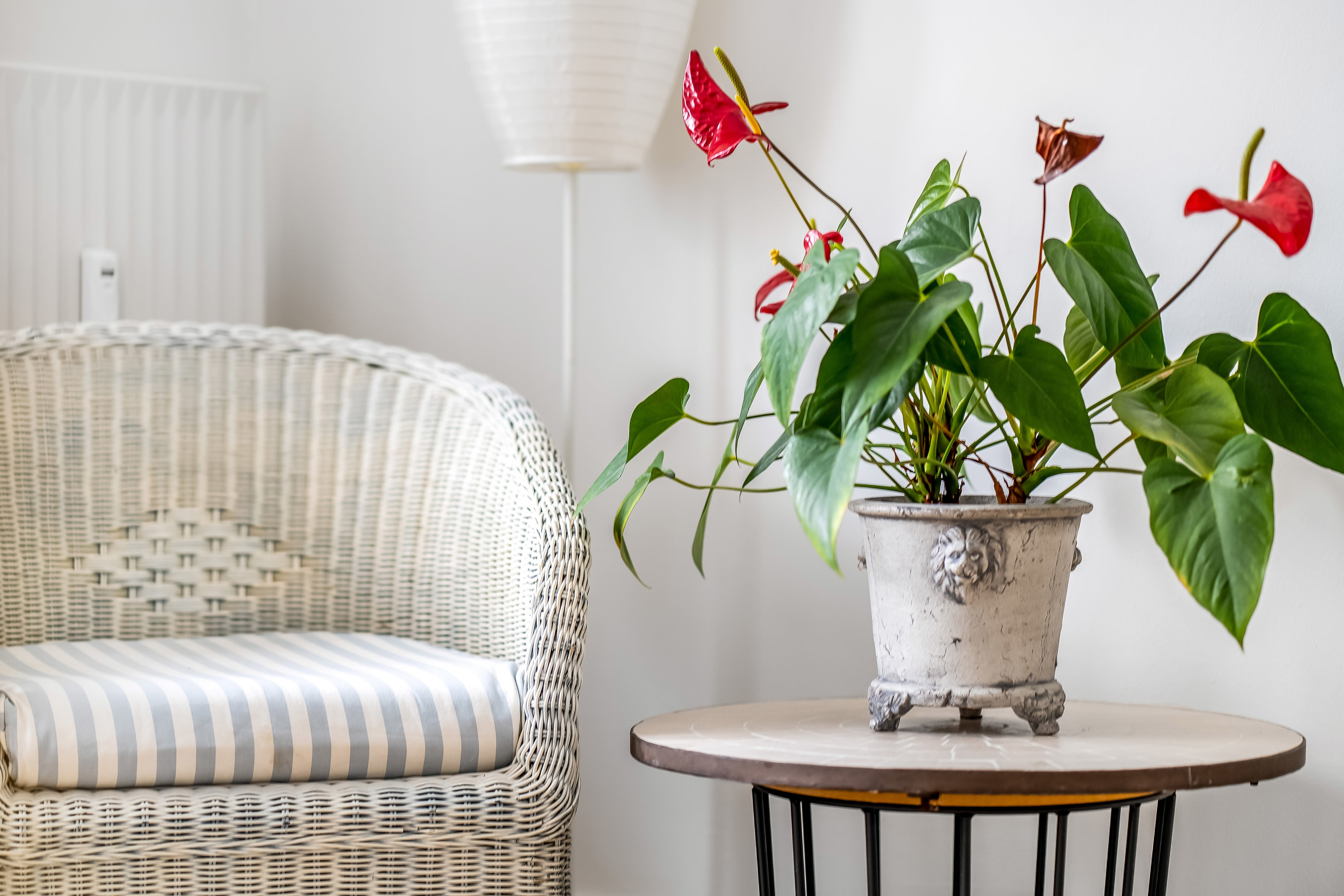 Fremhævet andet billede i fuldskærmstilstand. Billede af Hansensvej 18, st.. th., 3400 Hillerød