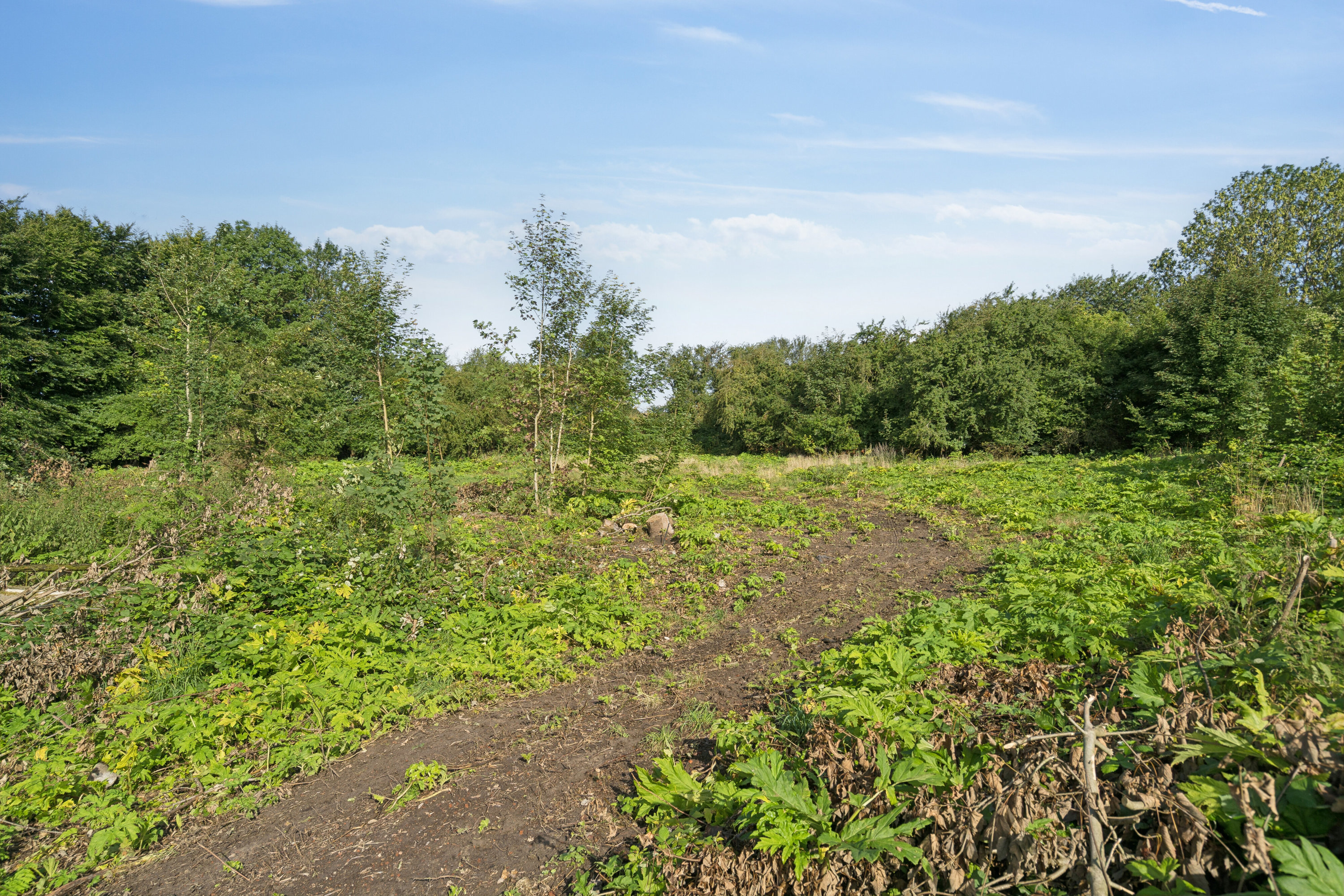 Fremhævet  billede i fuldskærmstilstand. Billede af Assensvej 188, Bellinge, 5250 Odense SV