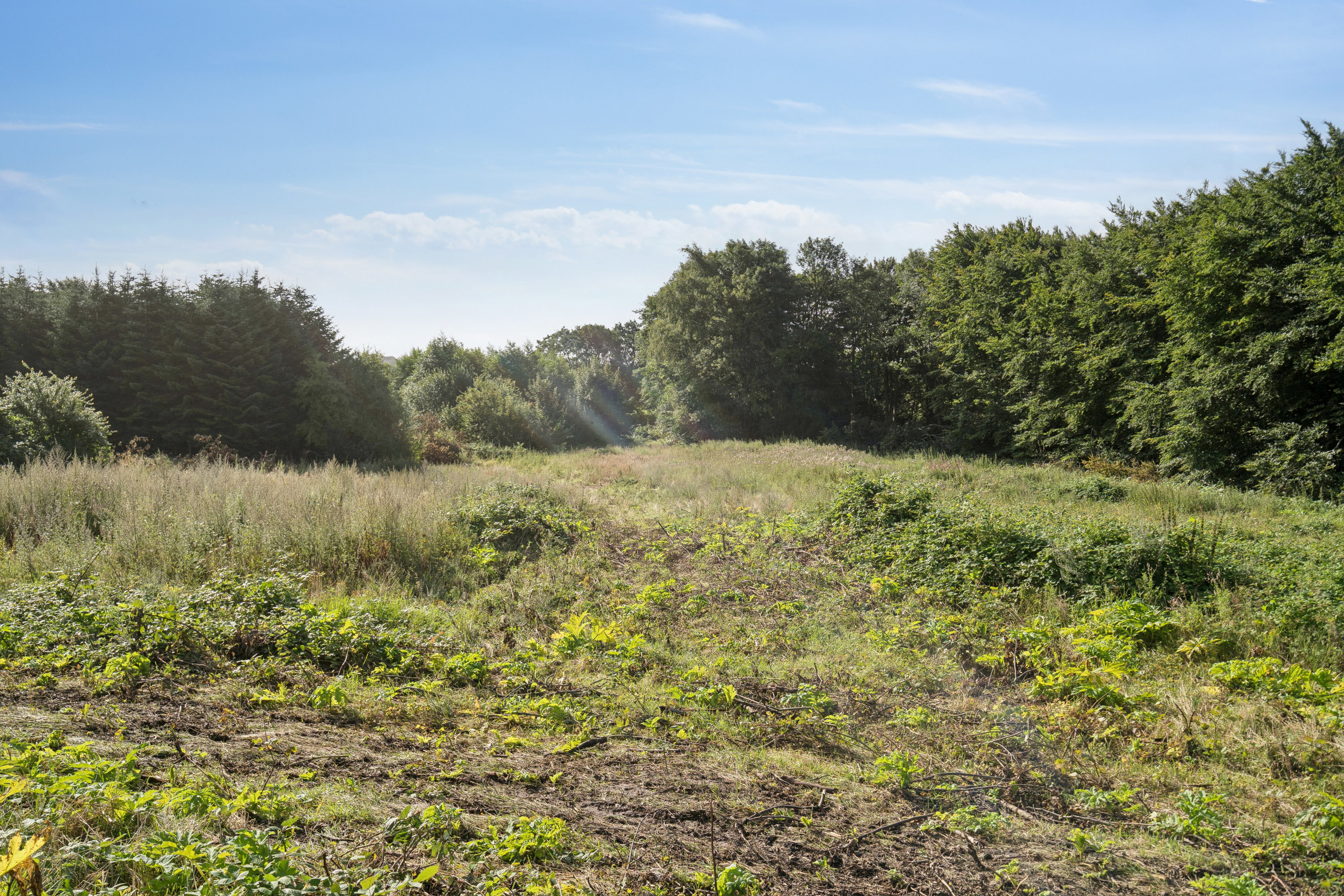 Fremhævet  billede i fuldskærmstilstand. Billede af Assensvej 188, Bellinge, 5250 Odense SV