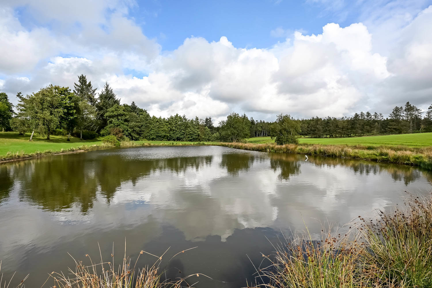 Fremhævet  billede i fuldskærmstilstand. Billede af Saugmandsvej 17, Møborg, 7660 Bækmarksbro