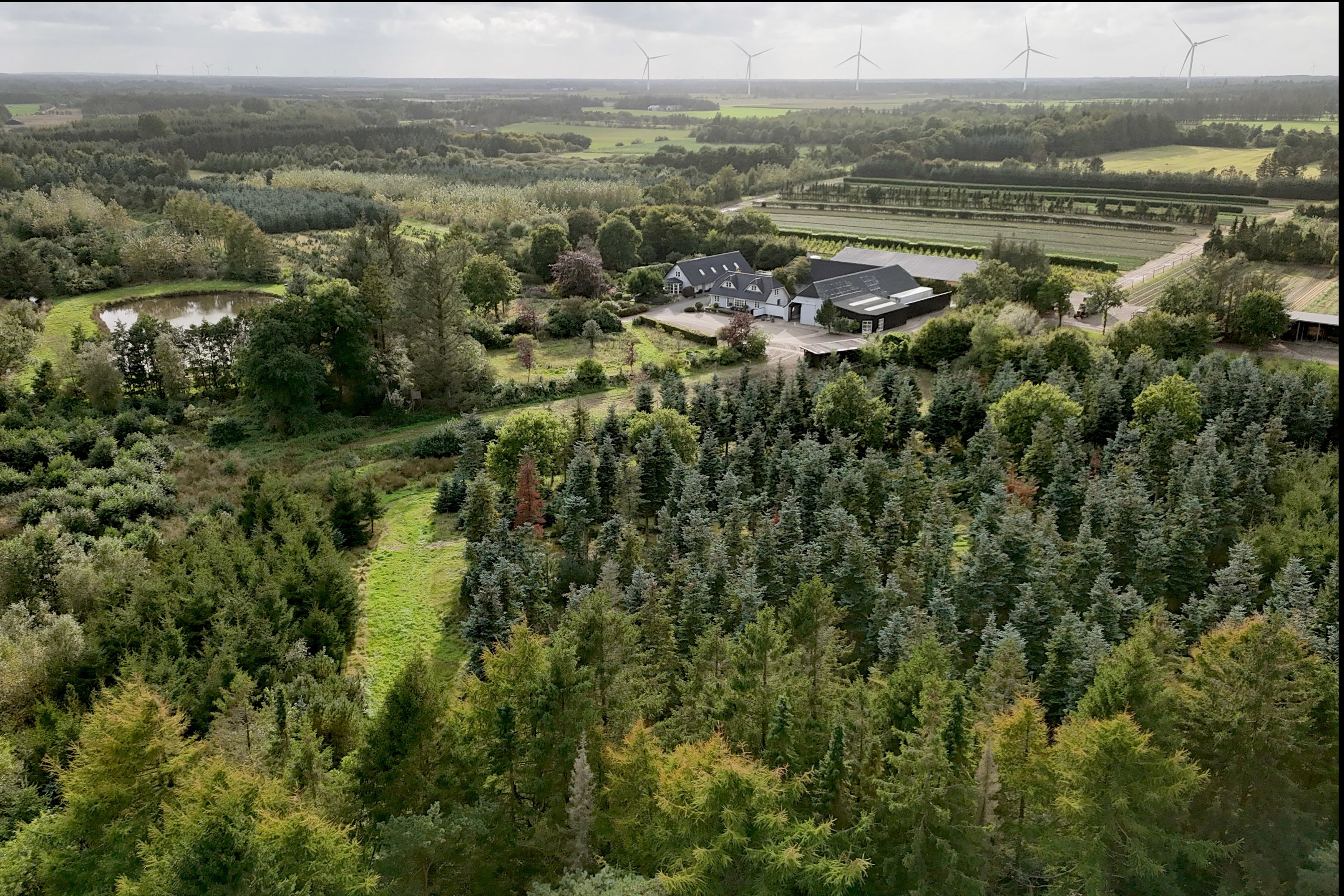 Saugmandsvej 17, Møborg, 7660 Bækmarksbro