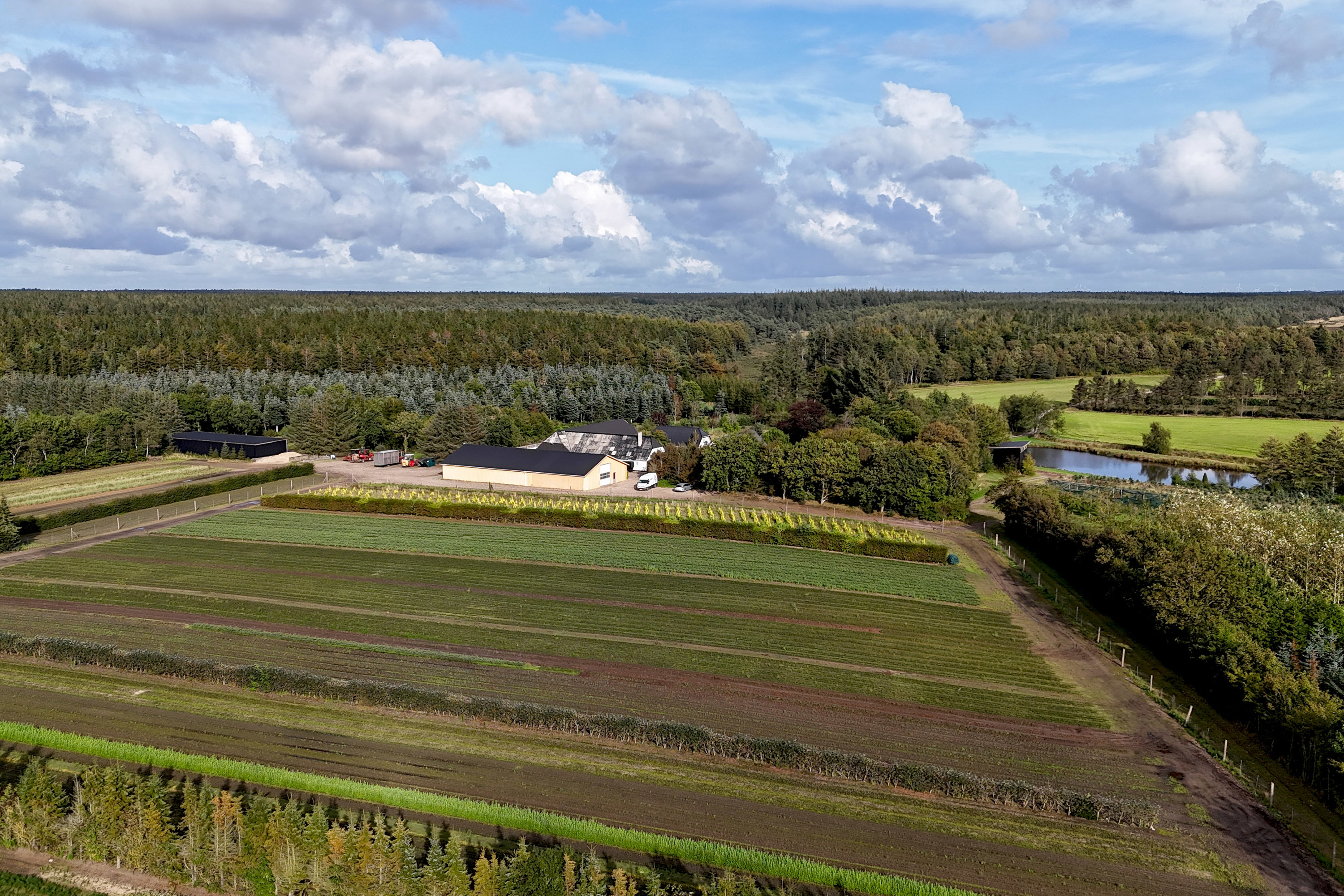 Fremhævet  billede i fuldskærmstilstand. Billede af Saugmandsvej 17, Møborg, 7660 Bækmarksbro