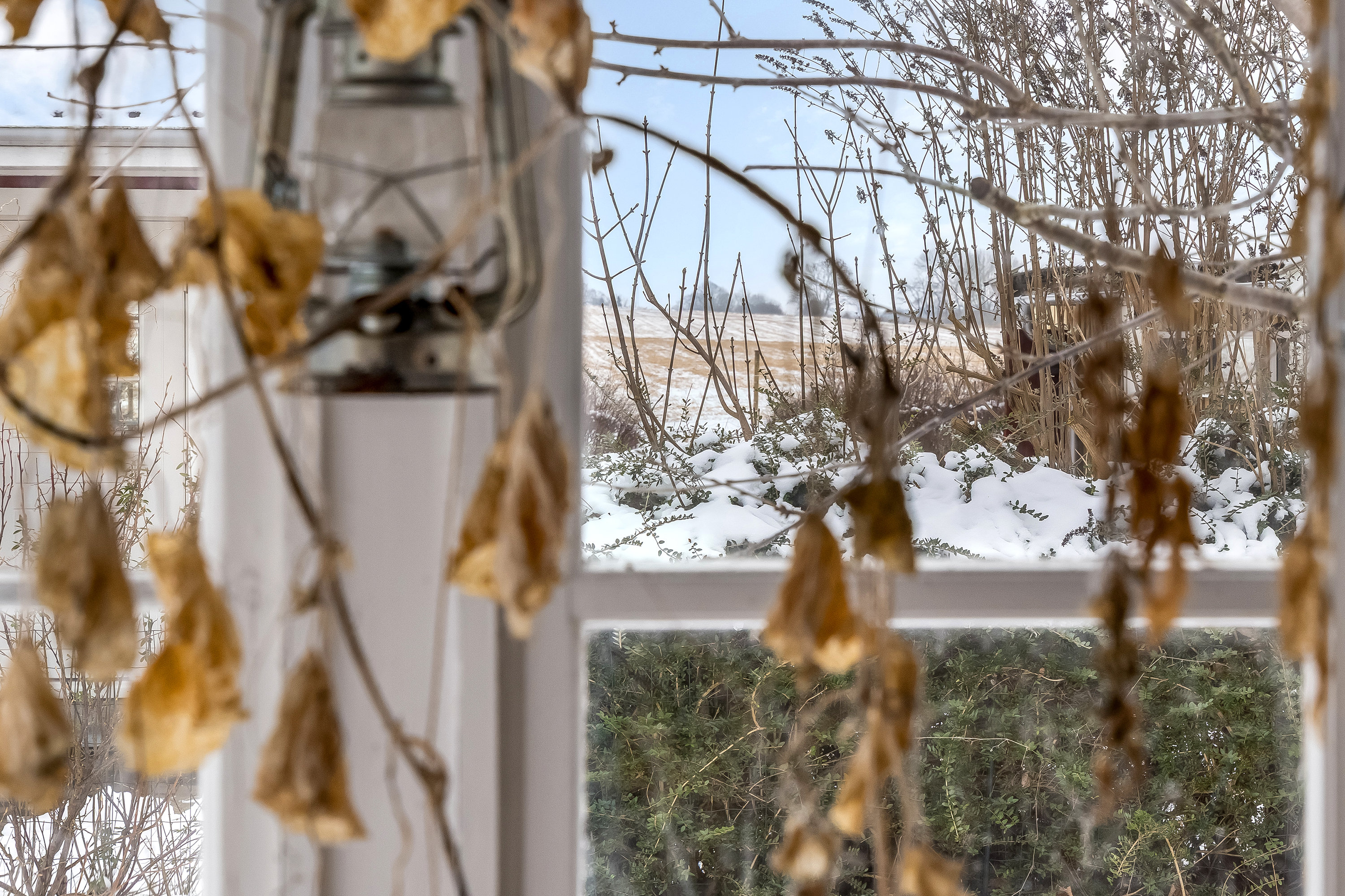 Fremhævet udsigt billede i fuldskærmstilstand. Billede af Ellekær 7, Over Draaby Strand, 3630 Jægerspris