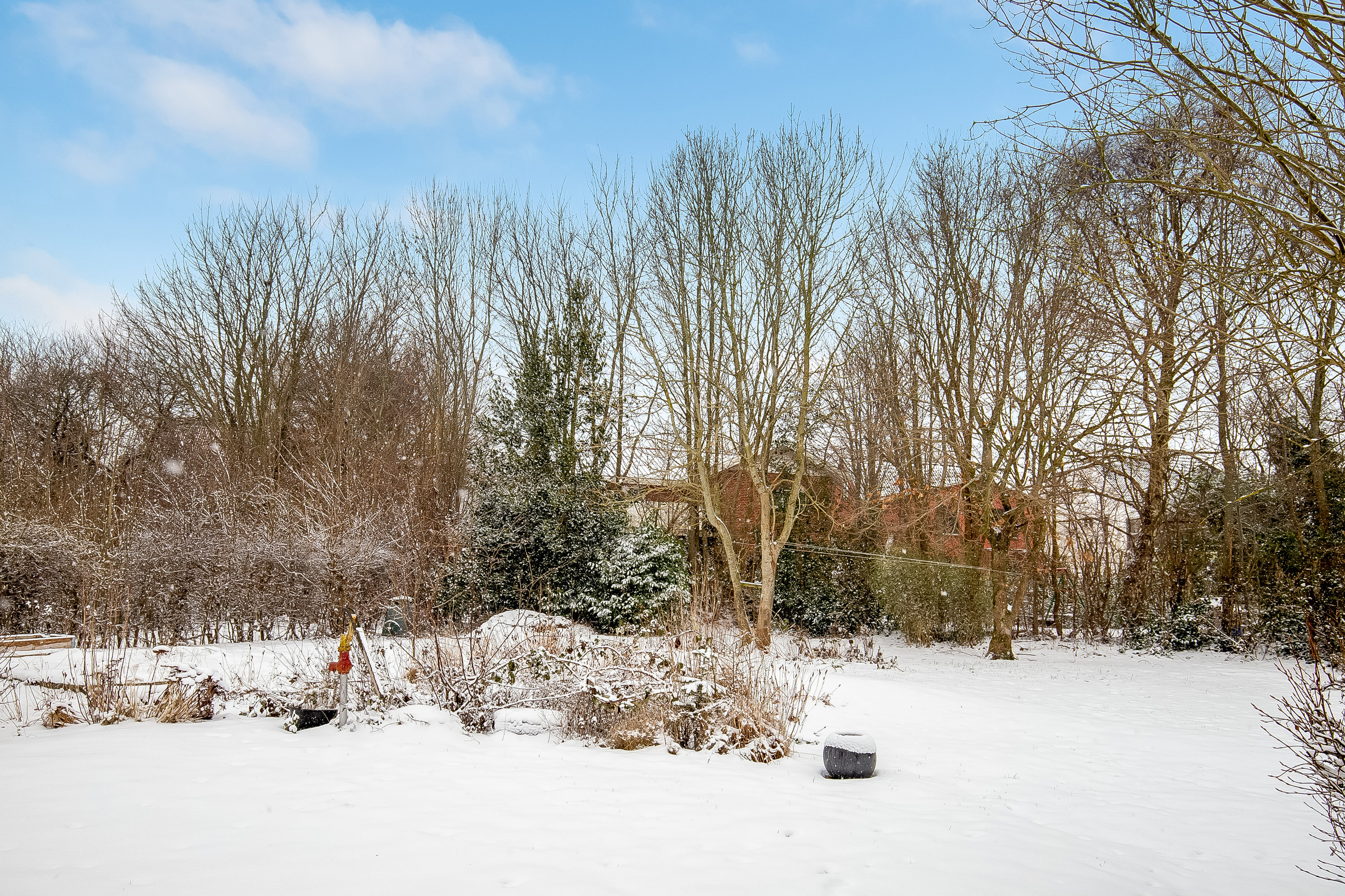 Fremhævet have billede i fuldskærmstilstand. Billede af Søegårdsvej 25, 6640 Lunderskov