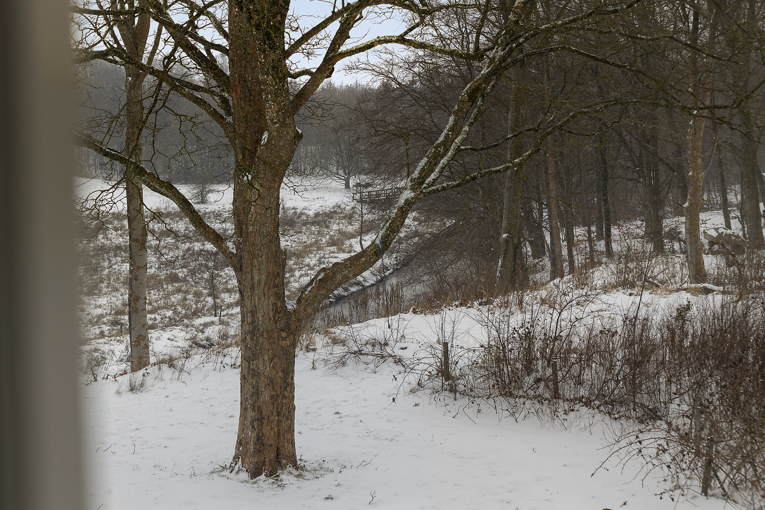 Fremhævet område billede i fuldskærmstilstand. Billede af Vestergade 19, 6670 Holsted