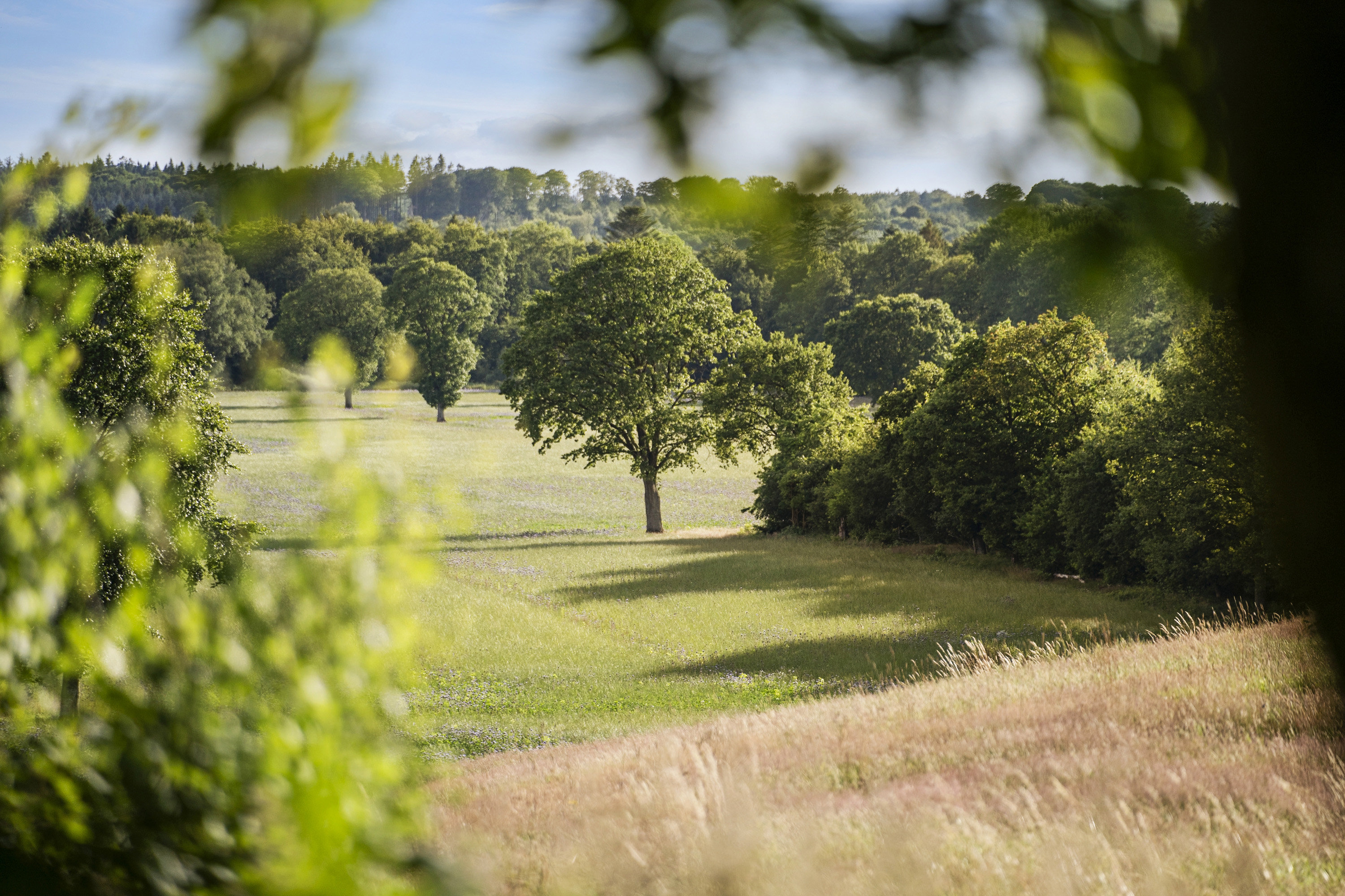 Klejtrupvej 17B, Sdr Onsild, 9500 Hobro