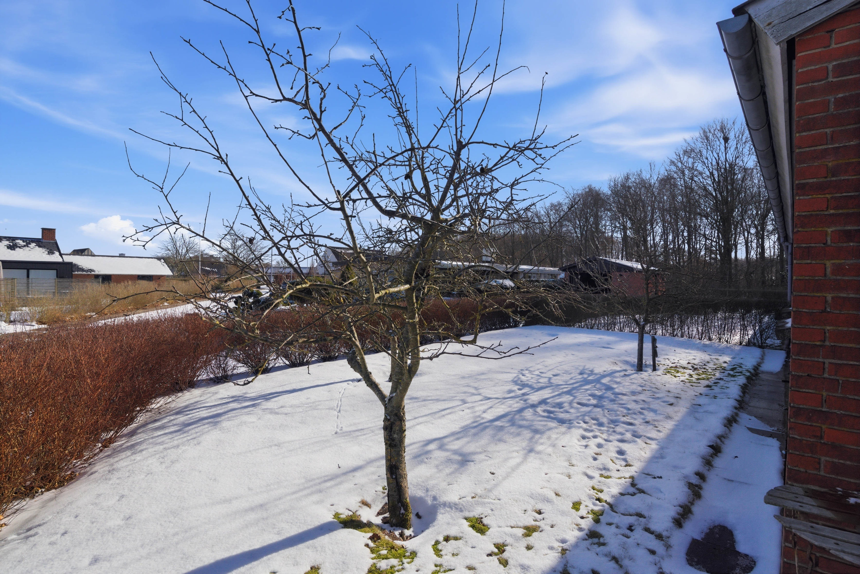 Fremhævet have billede i fuldskærmstilstand. Billede af Krimpendam 25, 7500 Holstebro