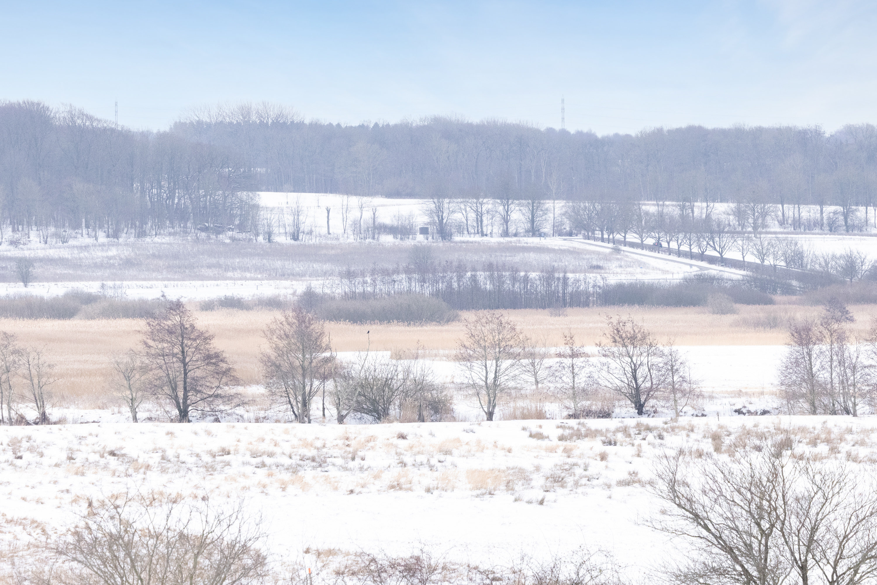 Fremhævet  billede i fuldskærmstilstand. Billede af Hougårdsvej 24, 2. th., 8220 Brabrand