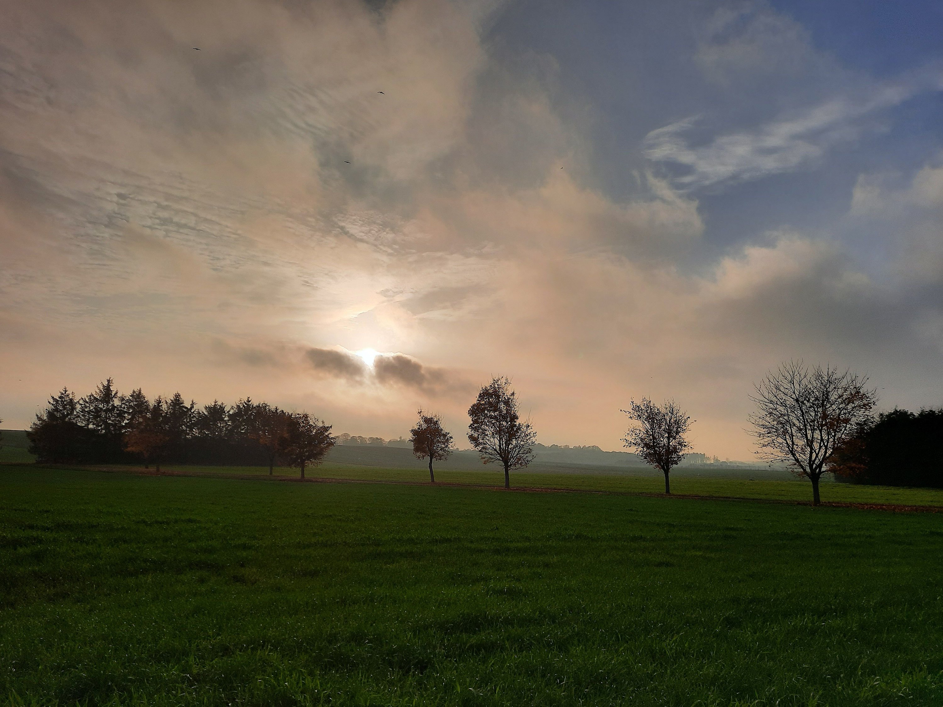 Fremhævet  billede i fuldskærmstilstand. Billede af Kraghøjvej 10, Skjold, 7130 Juelsminde