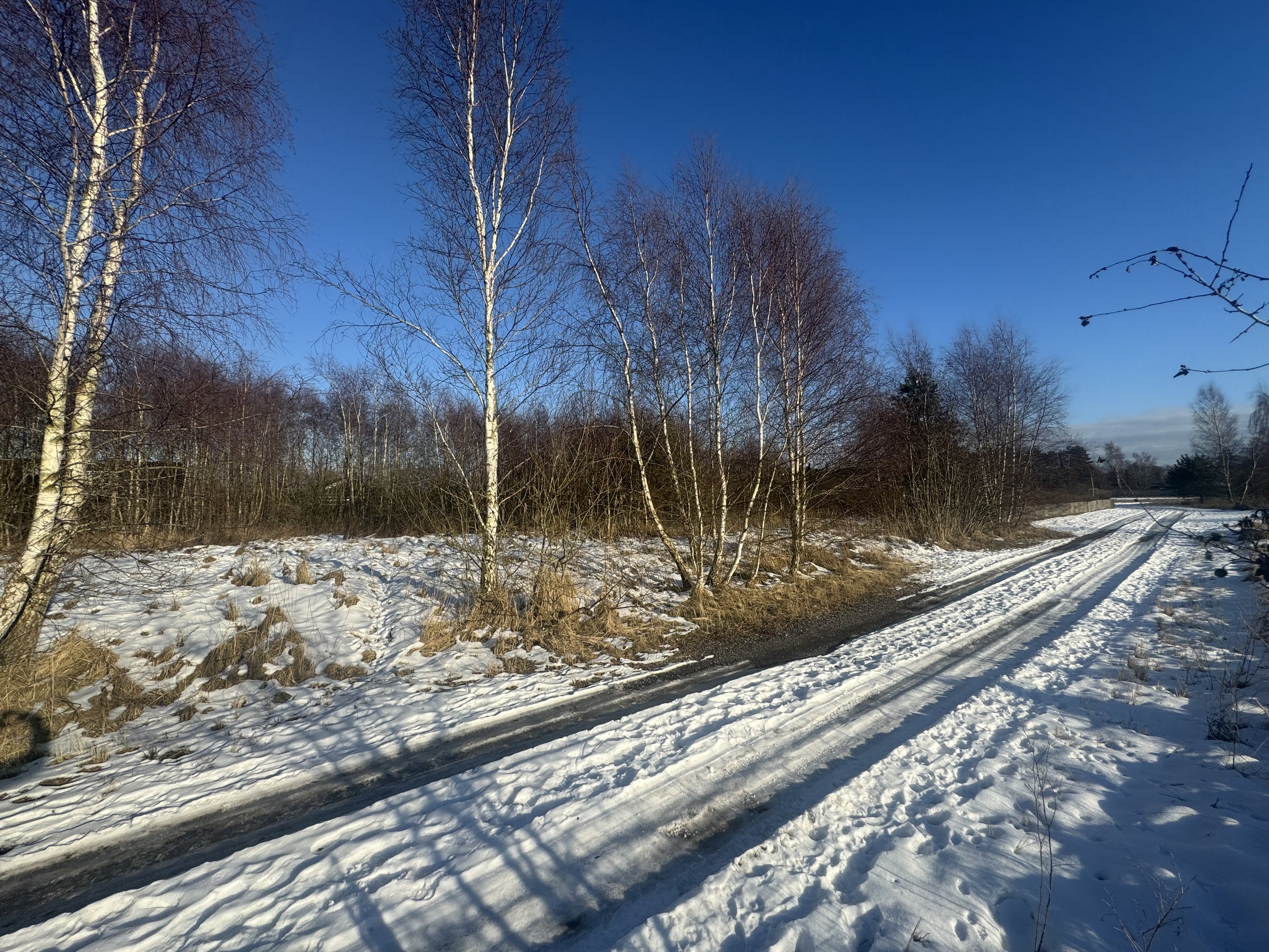 Ankersholm 58, Bredfjed, 4970 Rødby