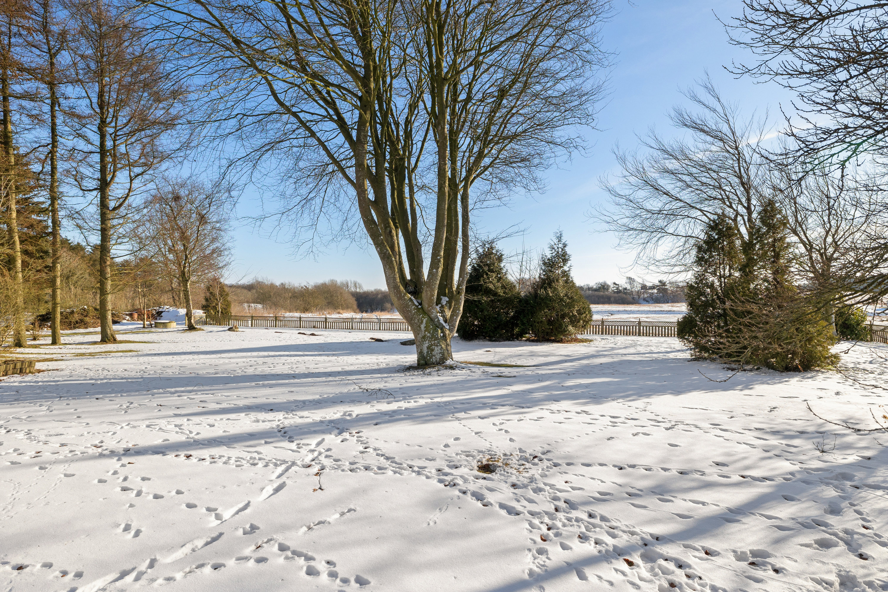 Fremhævet have billede i fuldskærmstilstand. Billede af Karlbyvej 1, Karlby, 9500 Hobro