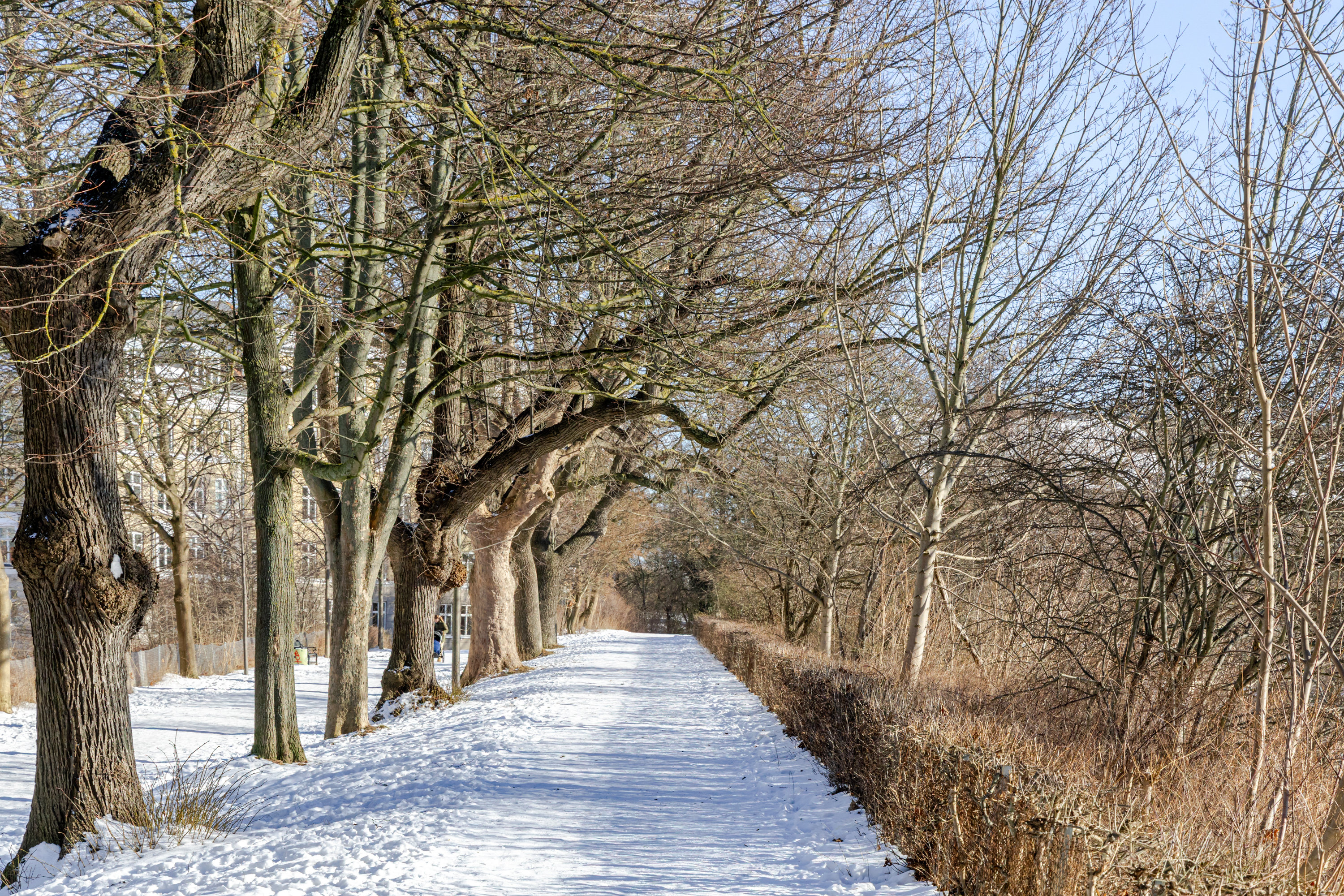 Fremhævet område billede i fuldskærmstilstand. Billede af Overgaden Oven Vandet 2A, 2. th., 1415 København K