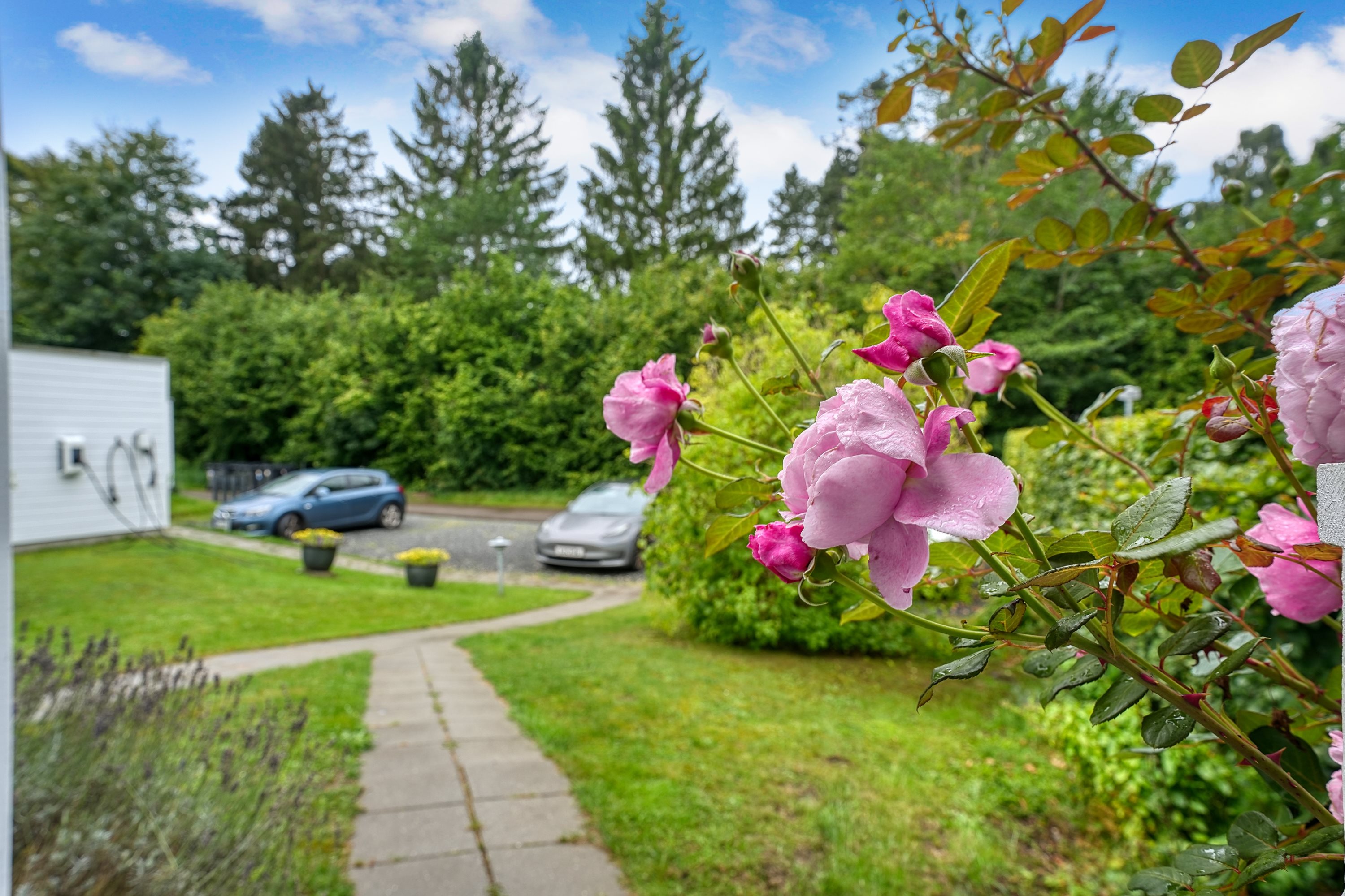Fremhævet terrasse billede i fuldskærmstilstand. Billede af Kongevejen 4A, 3480 Fredensborg