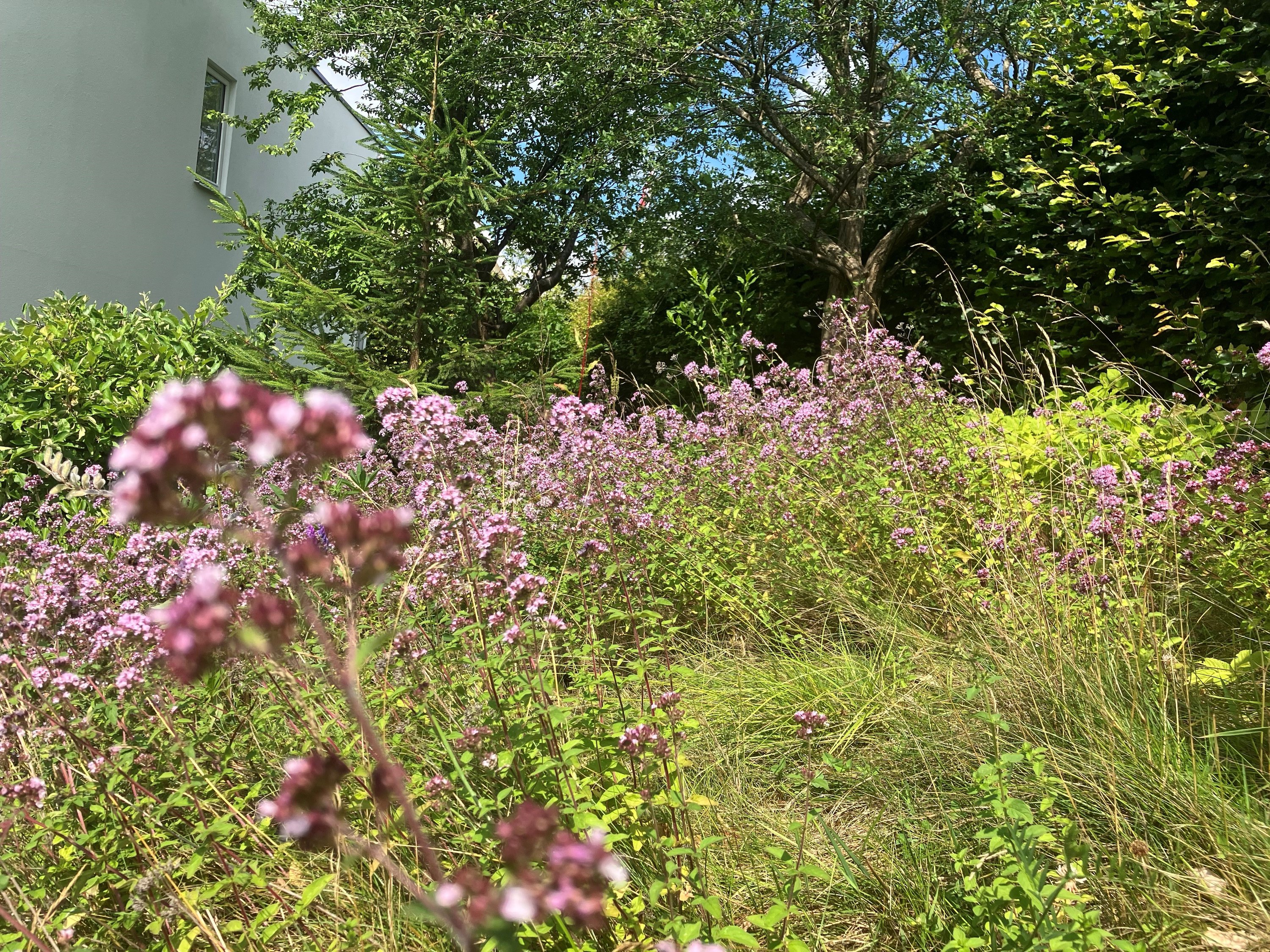 Fremhævet  billede i fuldskærmstilstand. Billede af Kongevejen 4A, 3480 Fredensborg