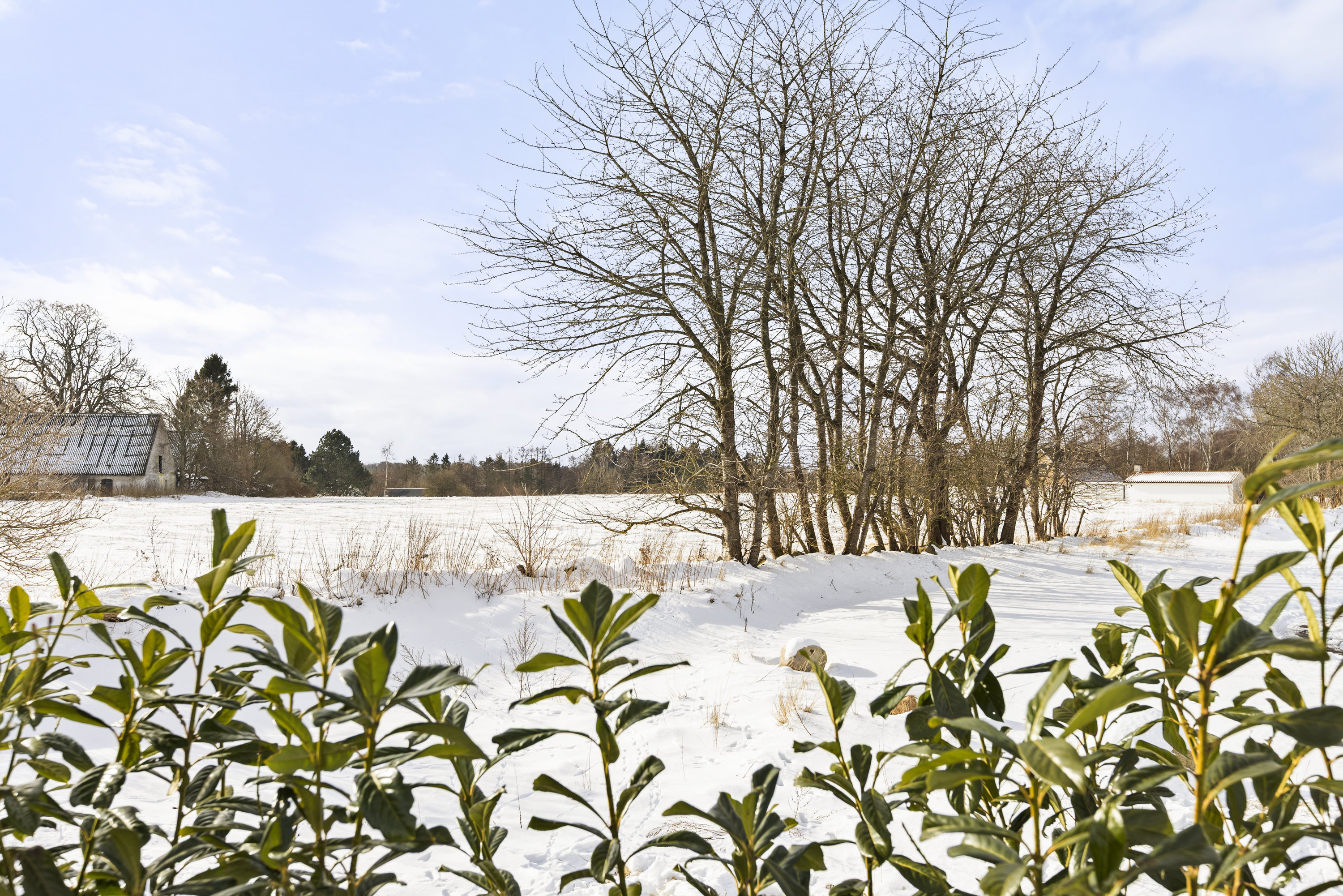 Fremhævet udsigt billede i fuldskærmstilstand. Billede af Hestebjergsvangen 2, 4180 Sorø
