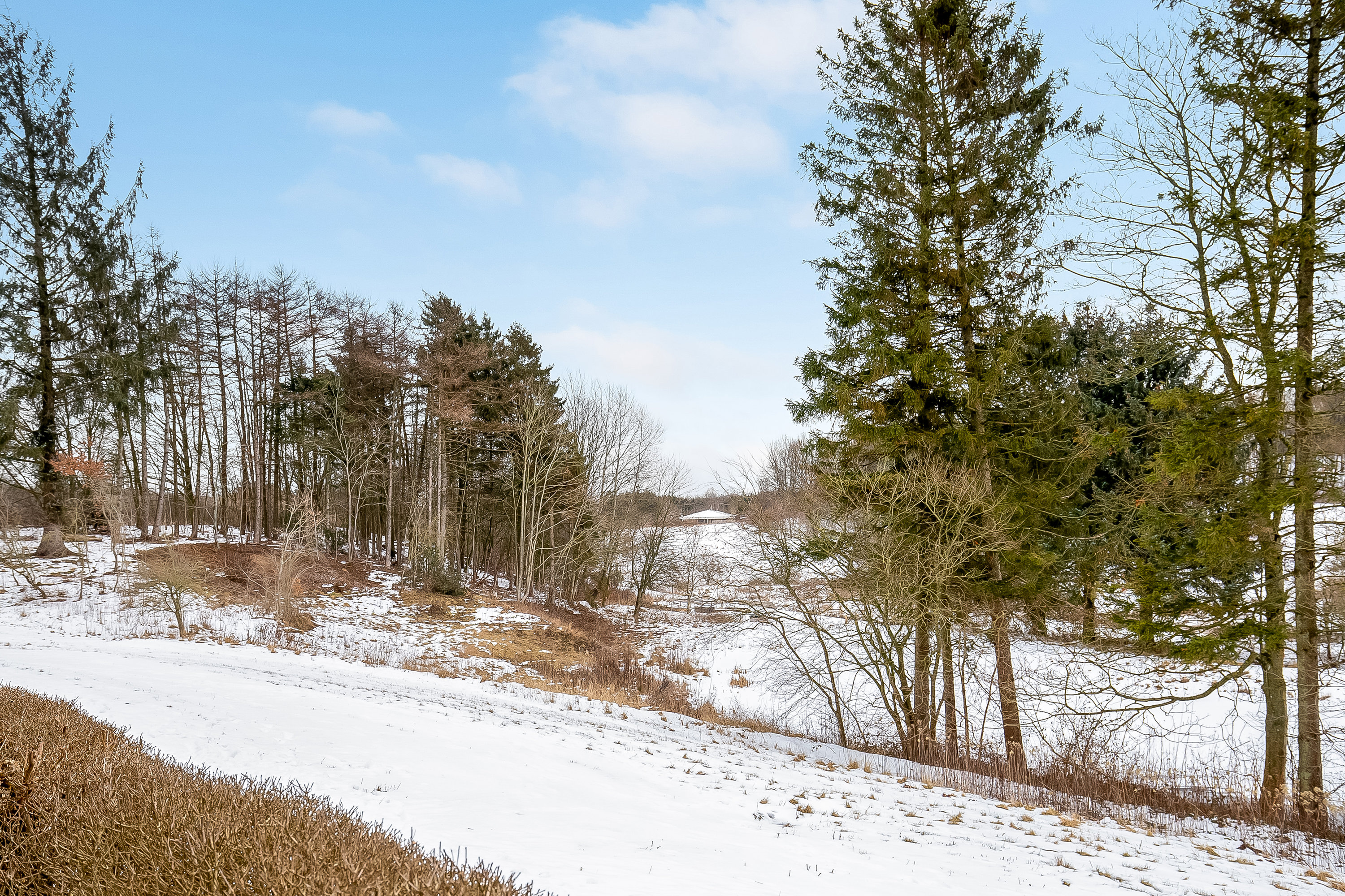 Fremhævet område billede i fuldskærmstilstand. Billede af Åparken 58, 6640 Lunderskov