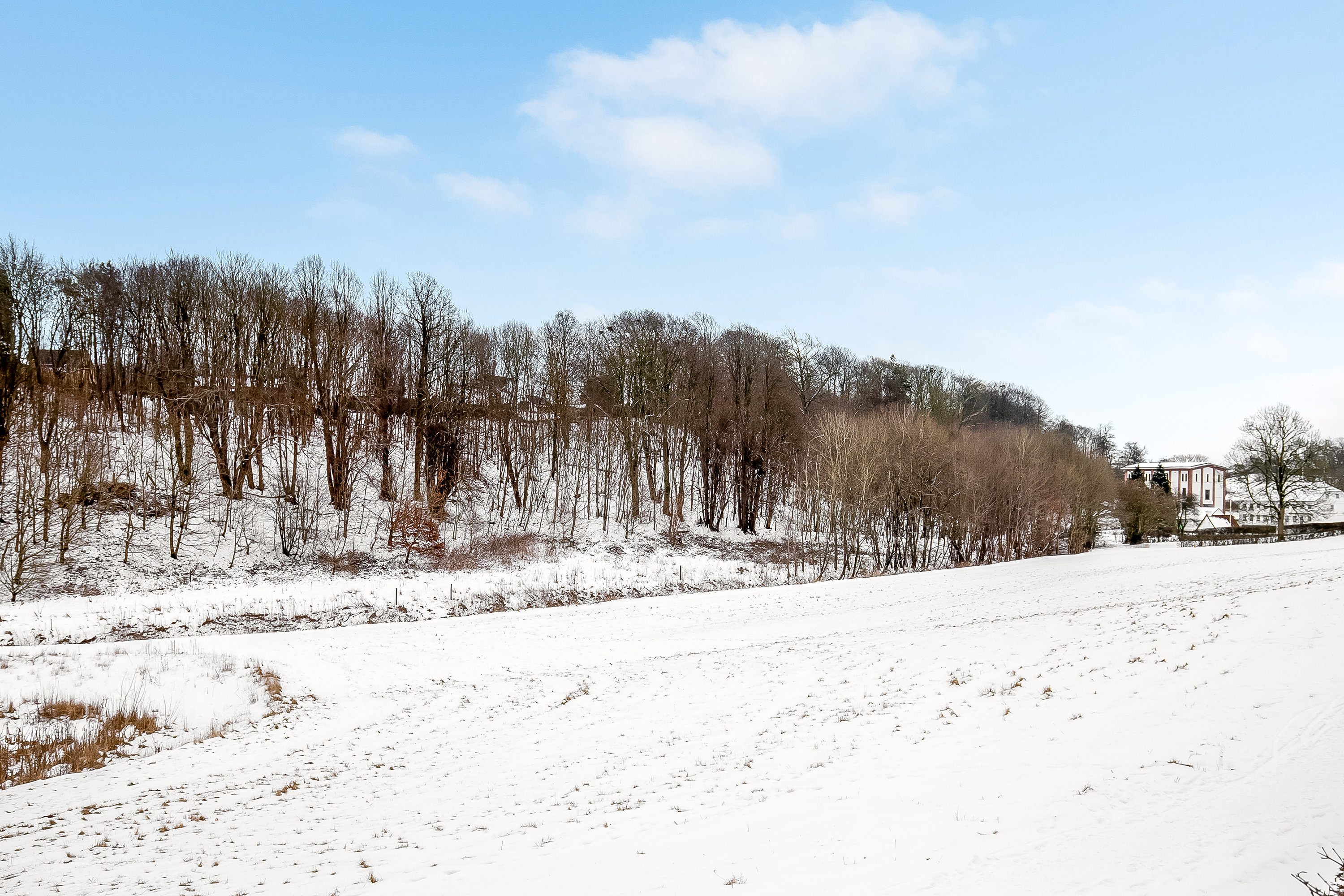 Fremhævet område billede i fuldskærmstilstand. Billede af Åparken 58, 6640 Lunderskov