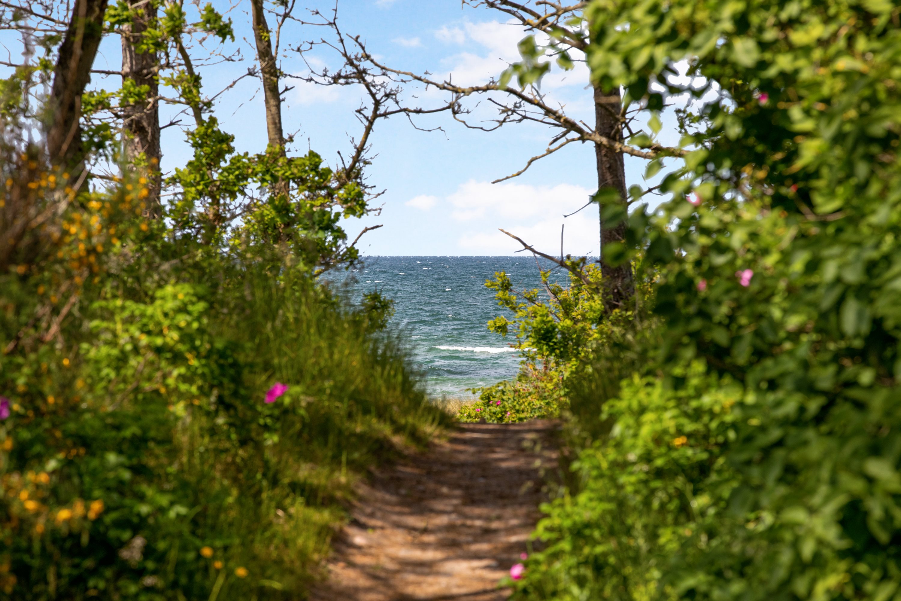 Skovvej 19, Fjellerup Strand, 8585 Glesborg