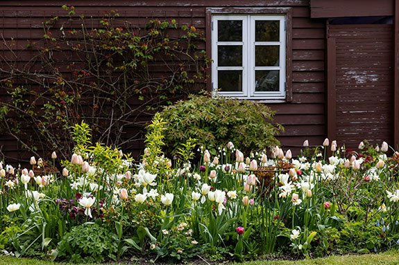 Fremhævet  billede i fuldskærmstilstand. Billede af Ny Skelgårdsvej 10, 2770 Kastrup