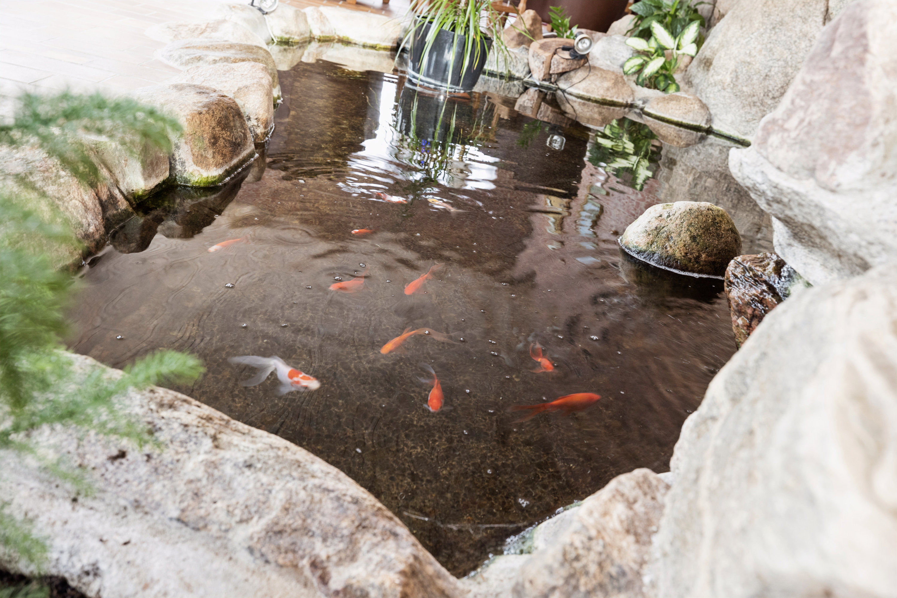 Fremhævet andet billede i fuldskærmstilstand. Billede af Løvskal Landevej 235, Vejrum, 8830 Tjele