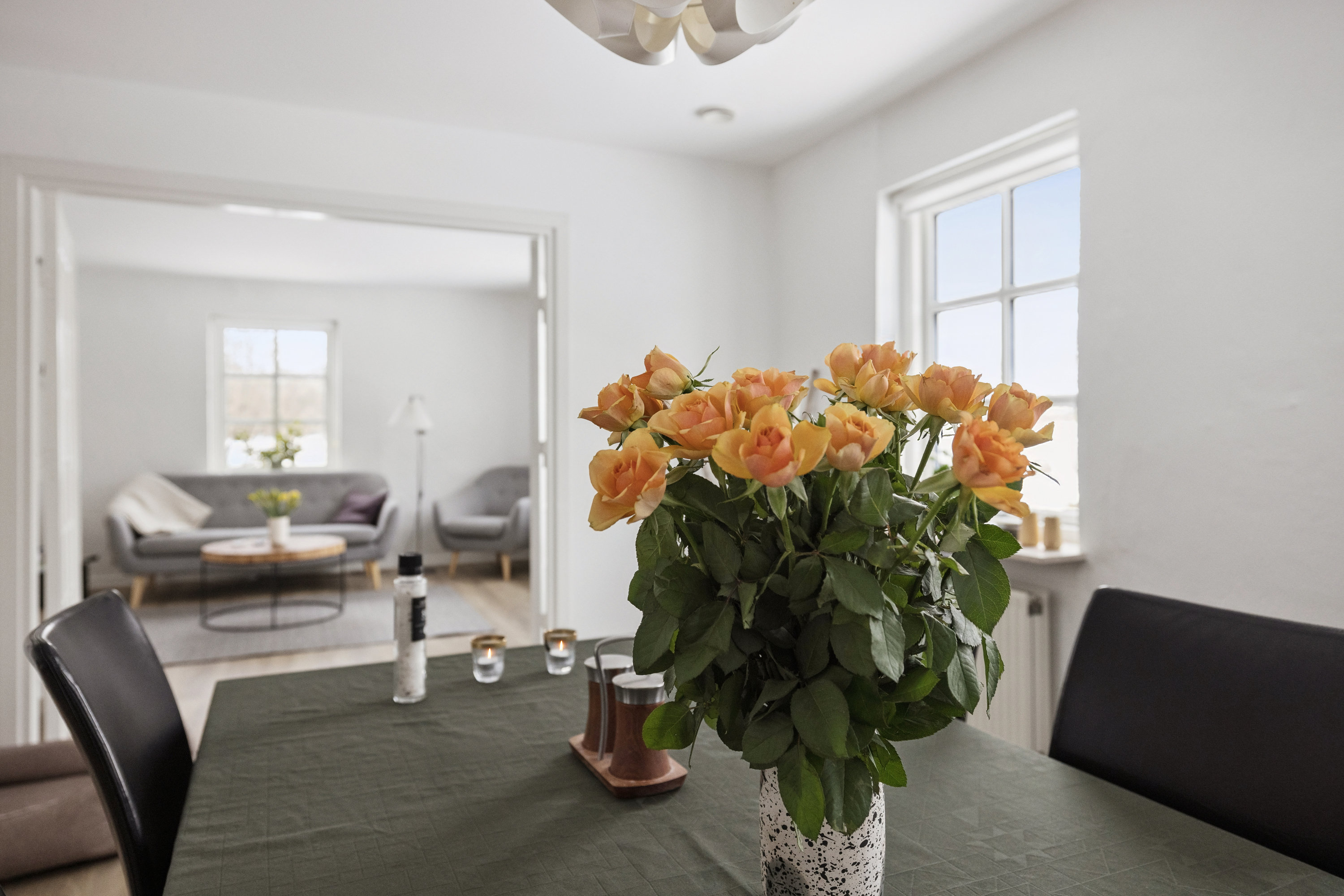 Fremhævet stue billede i fuldskærmstilstand. Billede af Tapdrupvej 102A, 8800 Viborg