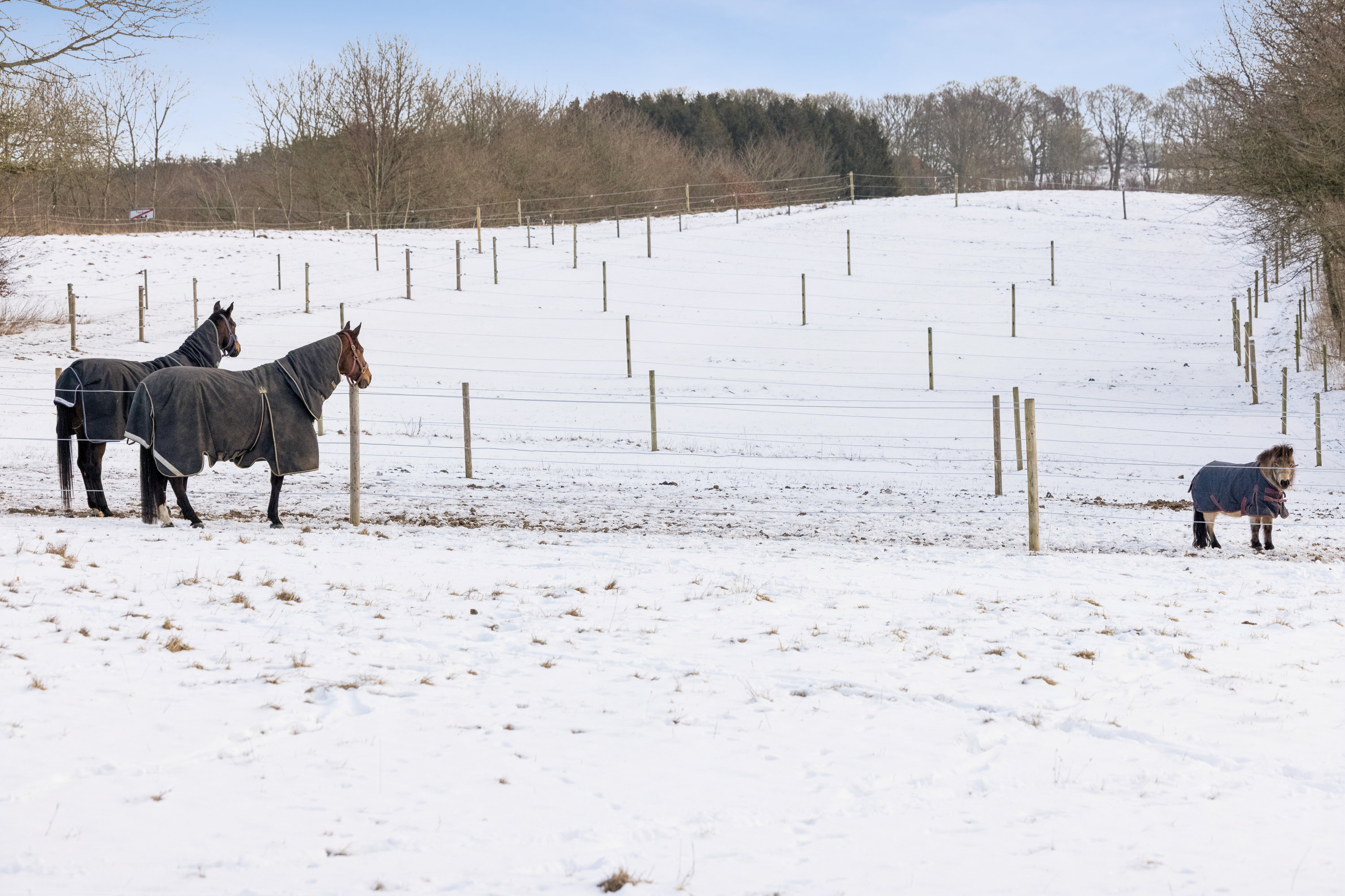 Fremhævet andet billede i fuldskærmstilstand. Billede af Tapdrupvej 102A, 8800 Viborg