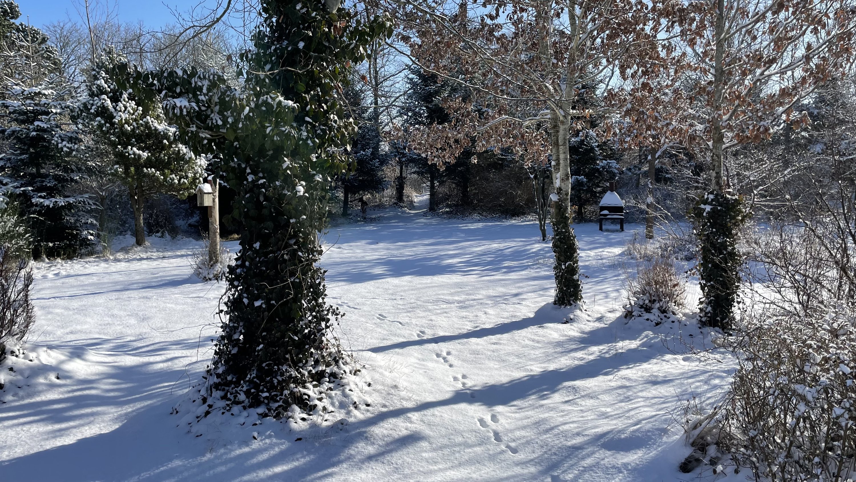 Gyvelvej 33, Stauning, 6900 Skjern