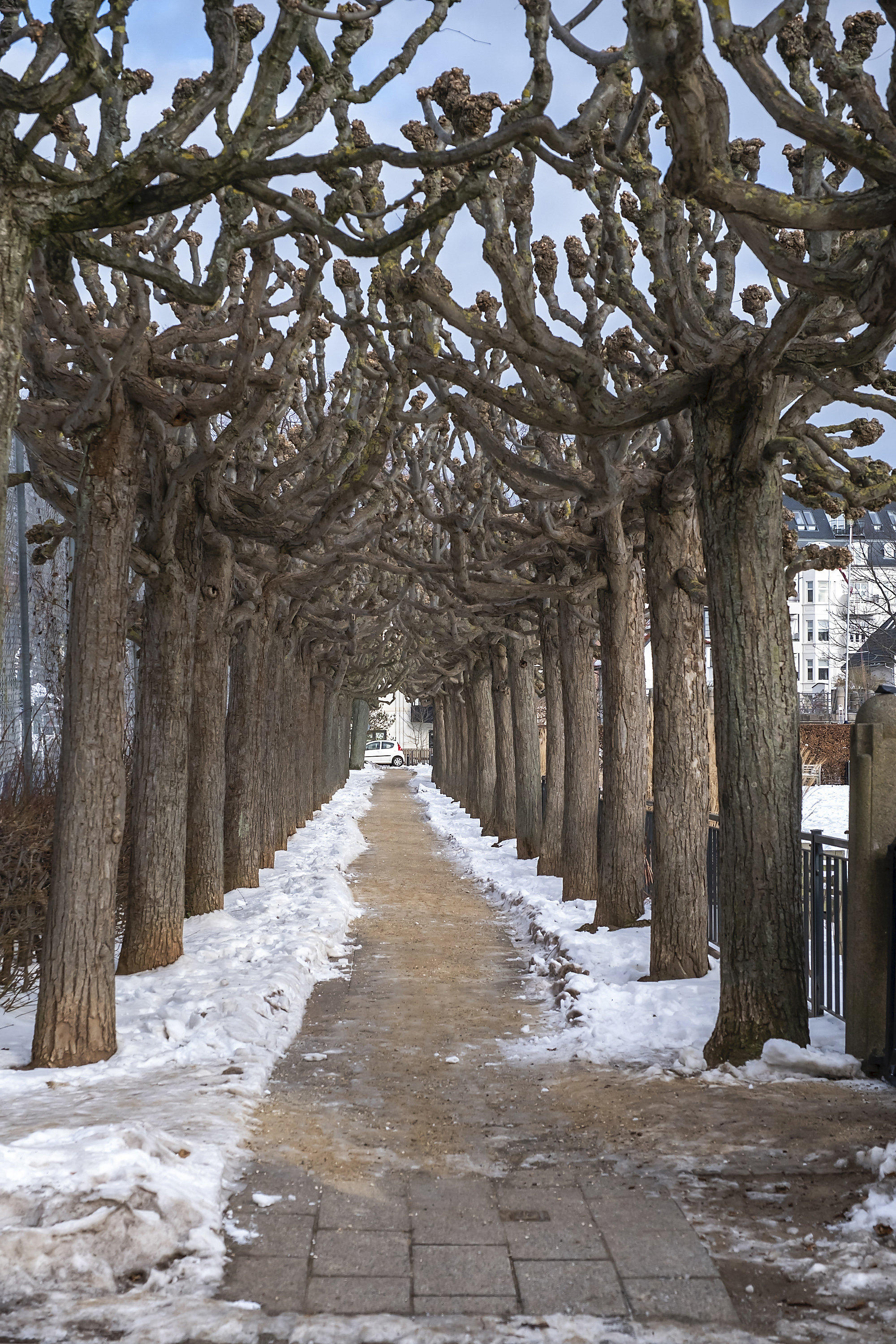 Fremhævet område billede i fuldskærmstilstand. Billede af Strandparksvej 6, 2. th., 2900 Hellerup