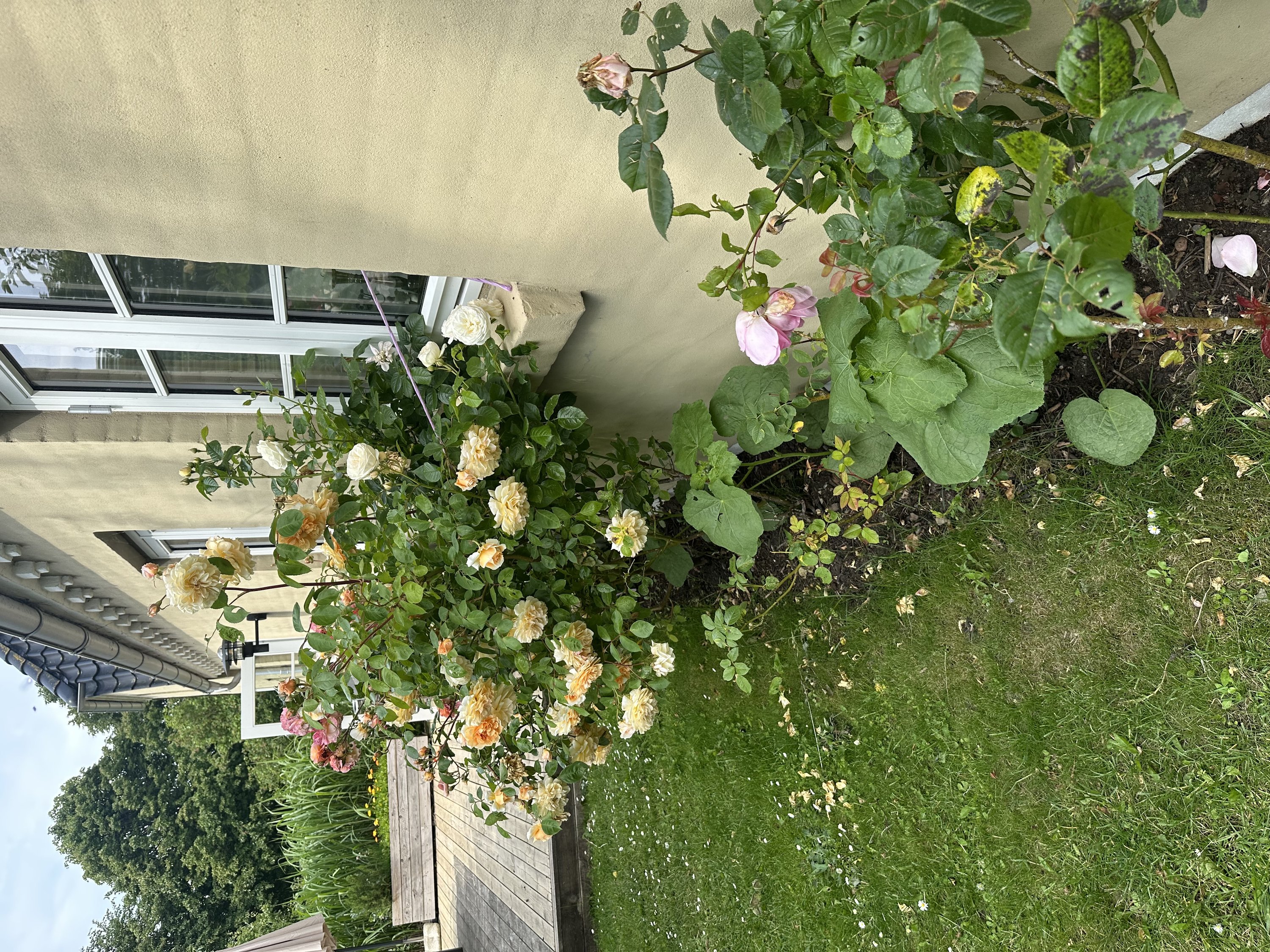 Fremhævet  billede i fuldskærmstilstand. Billede af Dyngby Møllevej 21, Dyngby, 8300 Odder