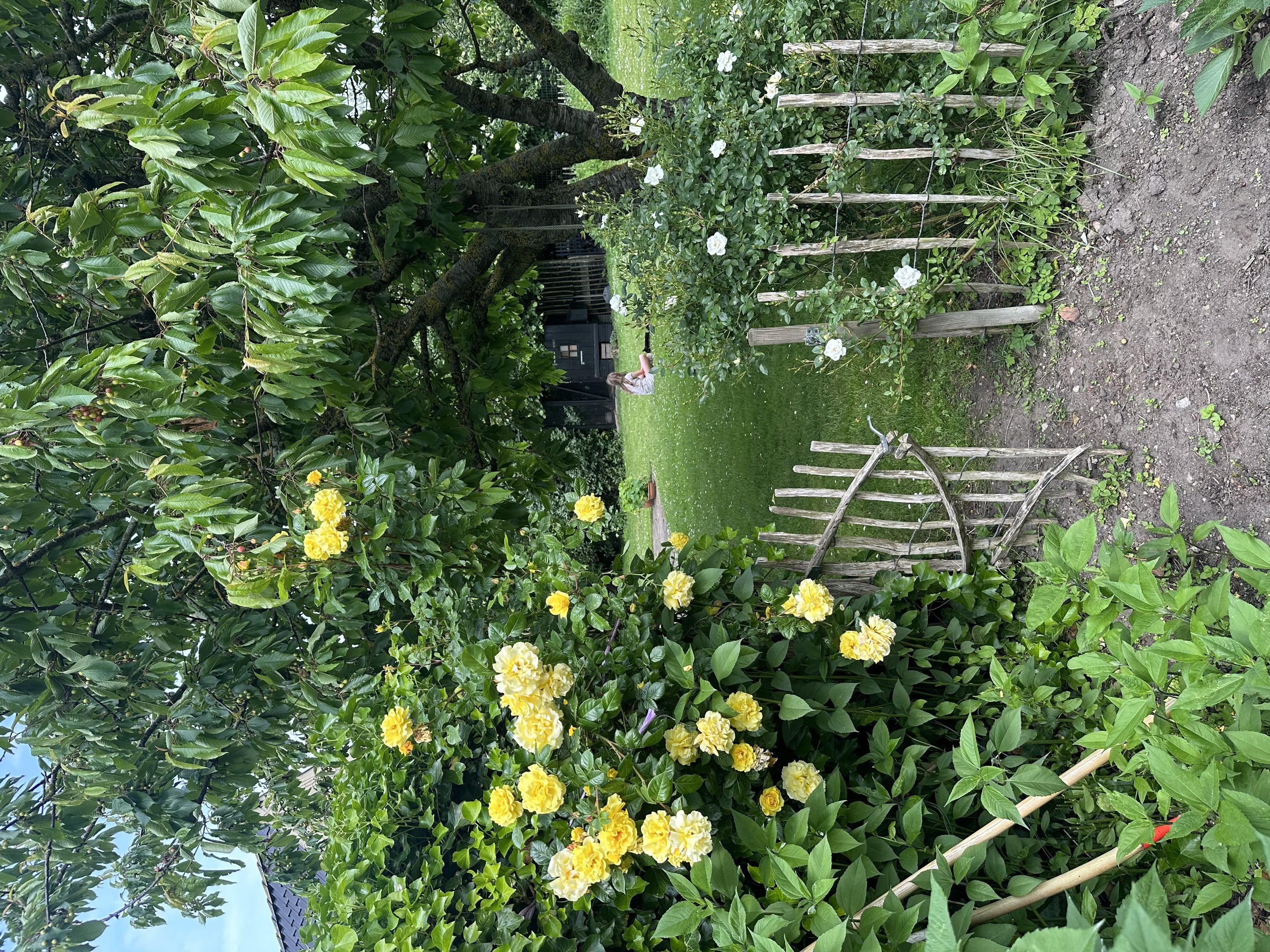 Fremhævet  billede i fuldskærmstilstand. Billede af Dyngby Møllevej 21, Dyngby, 8300 Odder