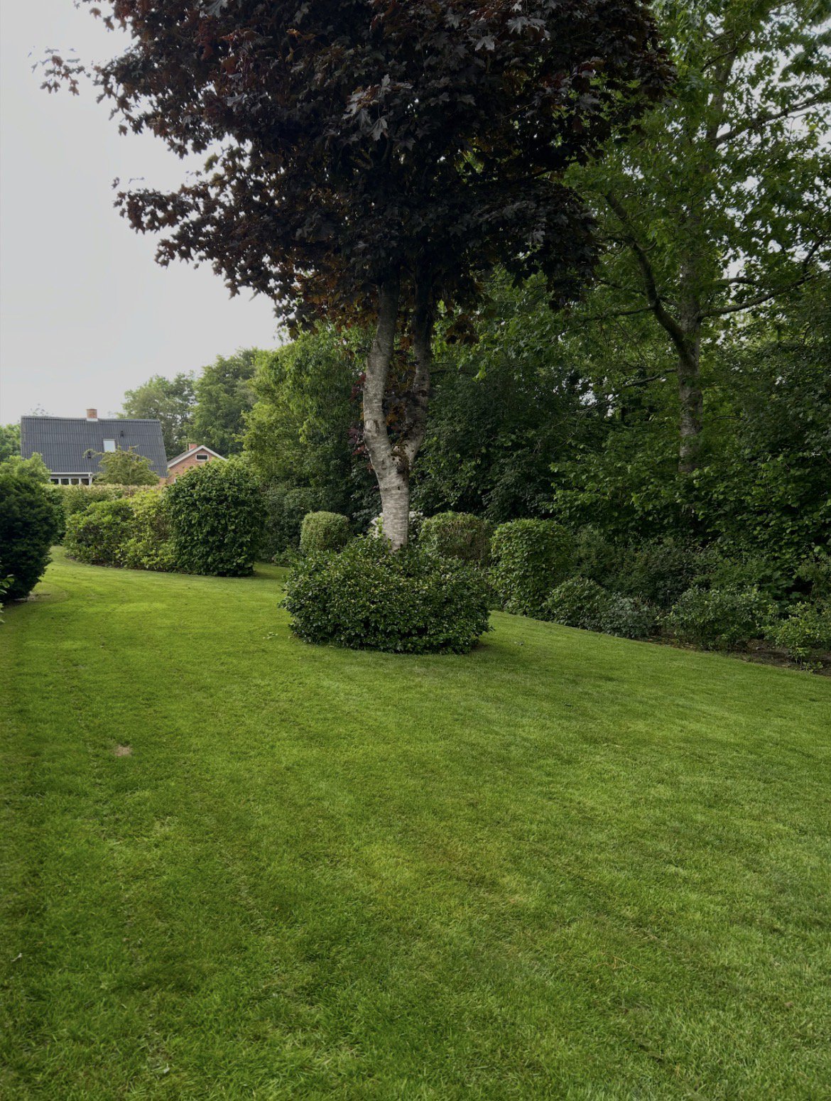 Fremhævet  billede i fuldskærmstilstand. Billede af Ribesvej 5, 7550 Sørvad