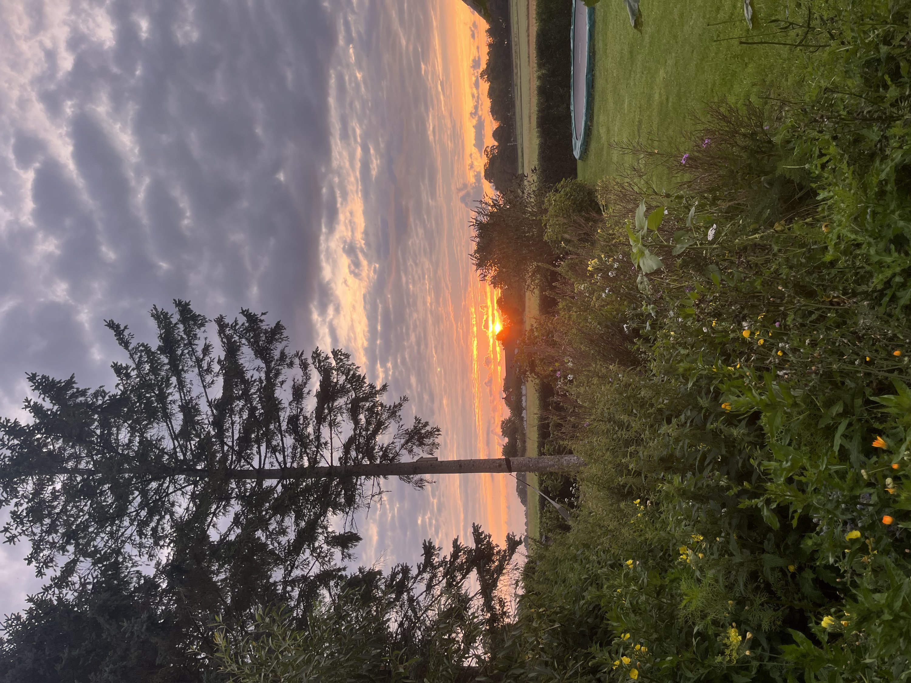 Fremhævet  billede i fuldskærmstilstand. Billede af Dyngby Møllevej 21, Dyngby, 8300 Odder