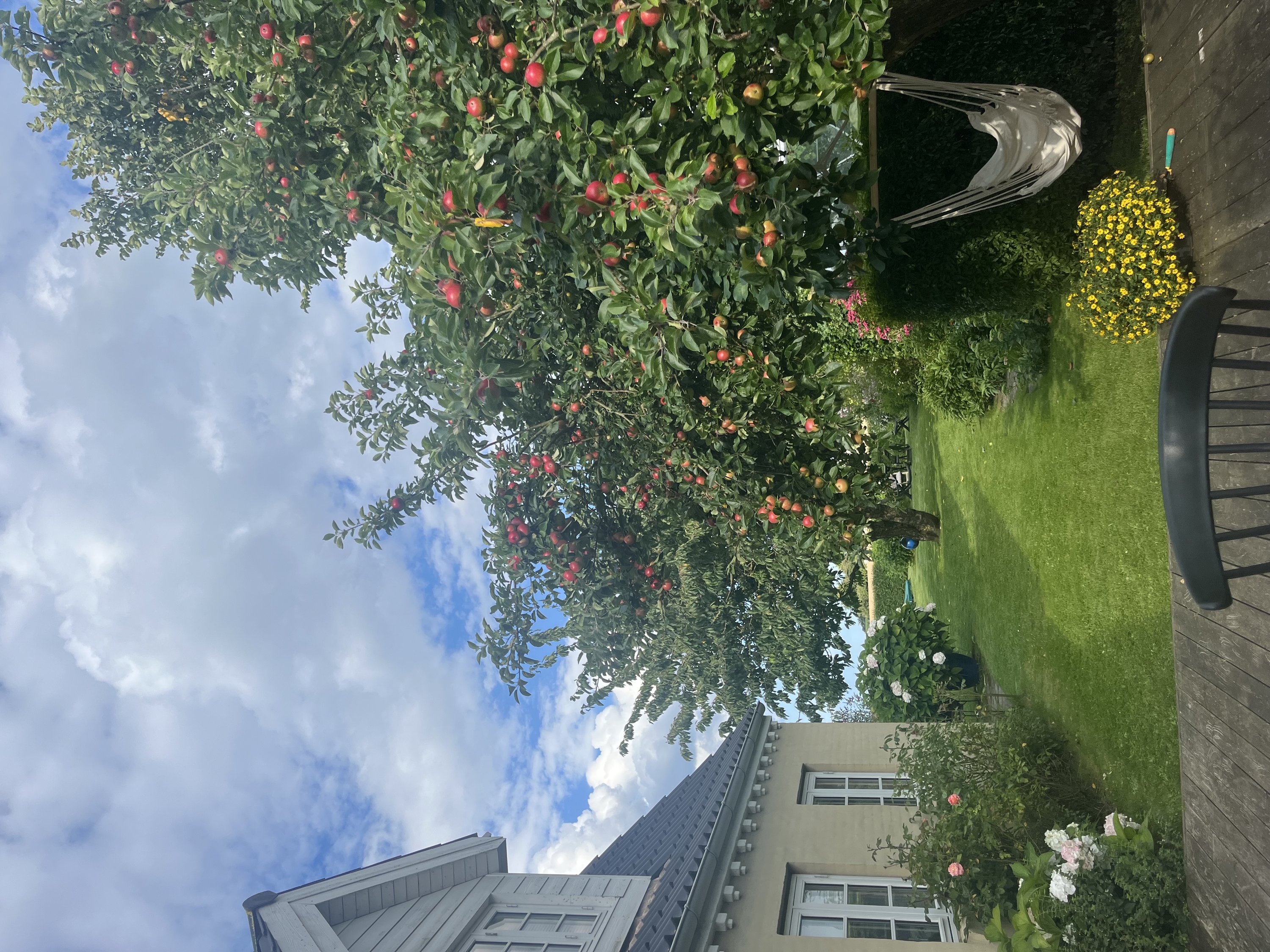 Fremhævet  billede i fuldskærmstilstand. Billede af Dyngby Møllevej 21, Dyngby, 8300 Odder