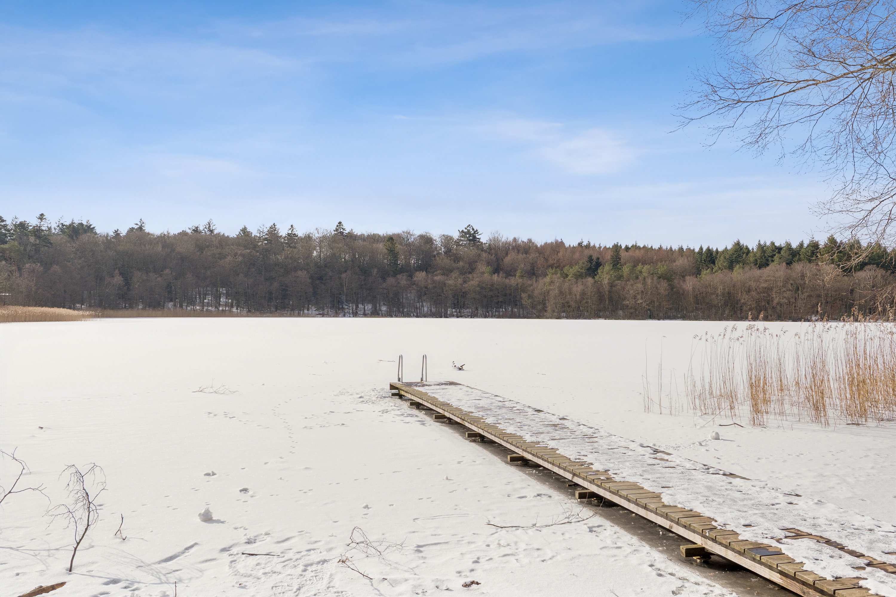 Fremhævet have billede i fuldskærmstilstand. Billede af Lyngsøvej 35, 8600 Silkeborg