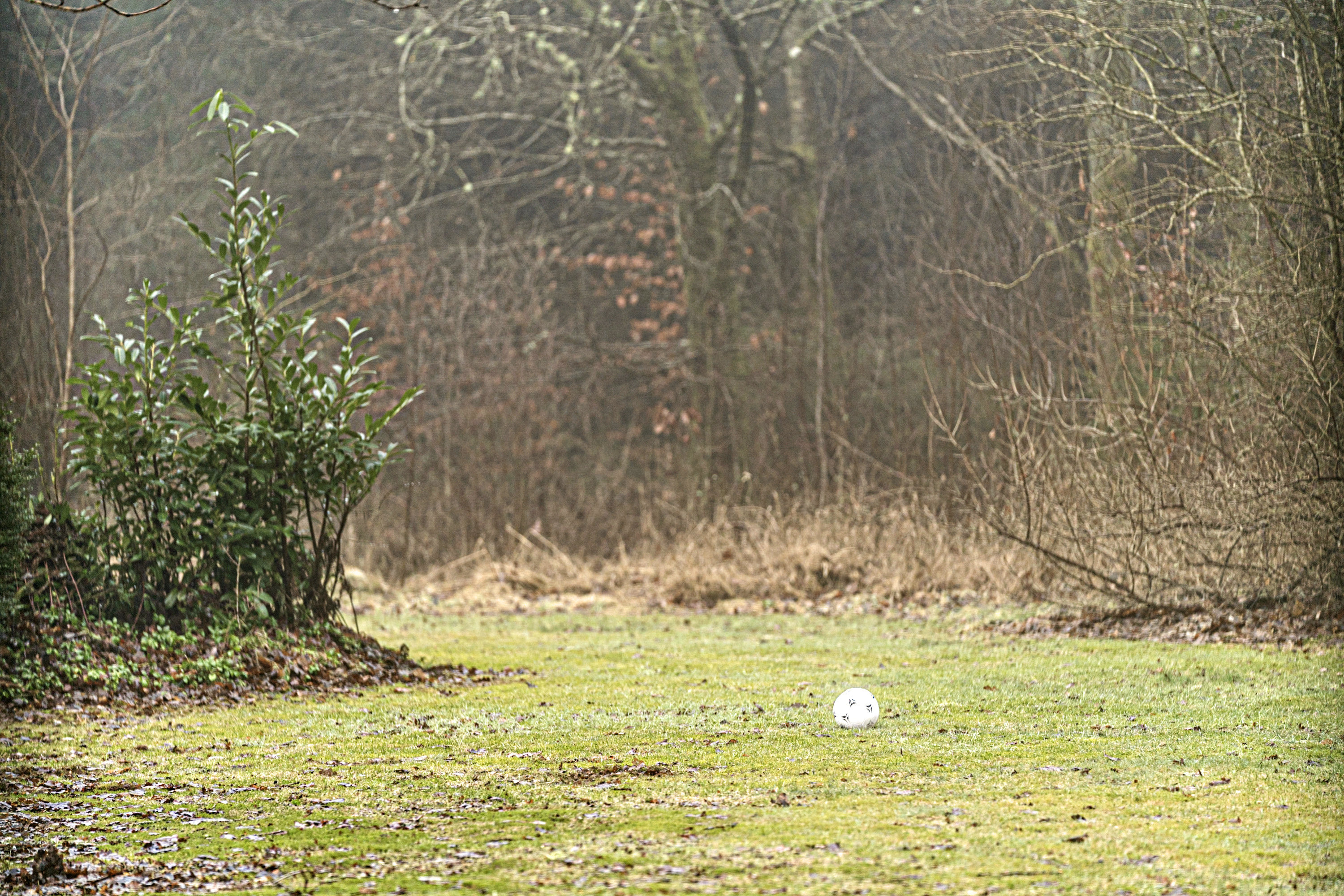 Fremhævet område billede i fuldskærmstilstand. Billede af Bækbyvej 29, Husby, 6990 Ulfborg