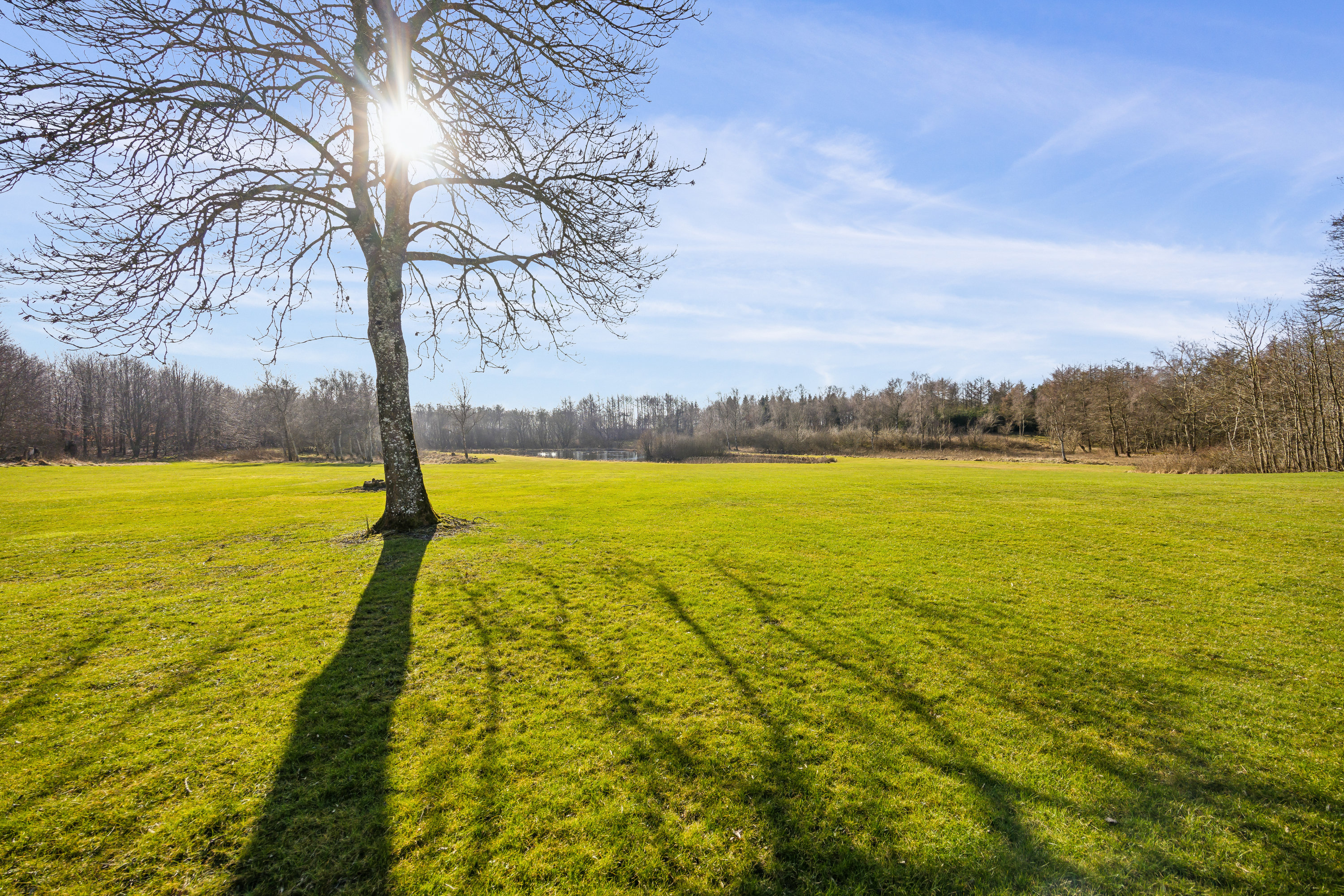 Fremhævet  billede i fuldskærmstilstand. Billede af Råkildevej 20, 9530 Støvring