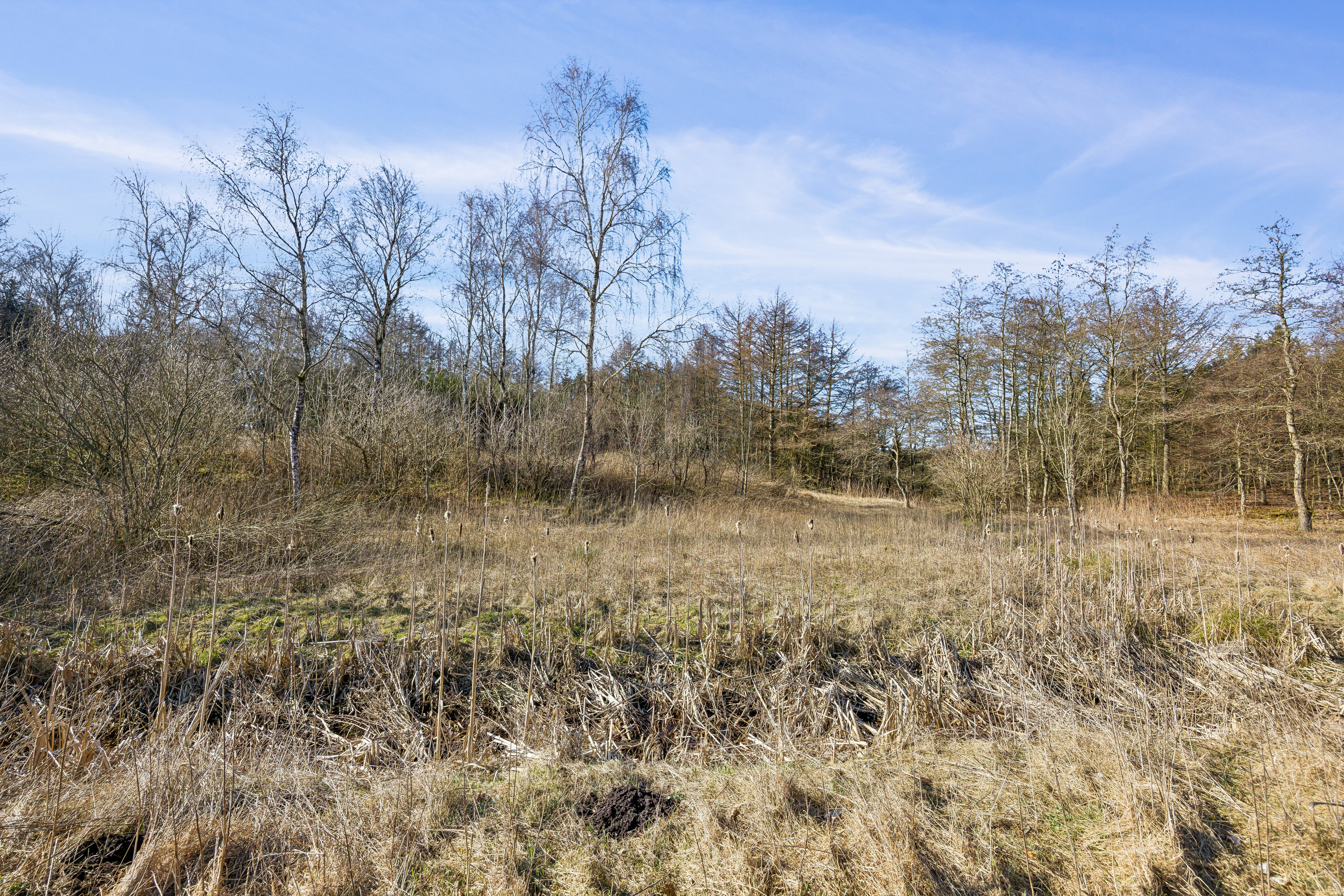Fremhævet  billede i fuldskærmstilstand. Billede af Råkildevej 20, 9530 Støvring