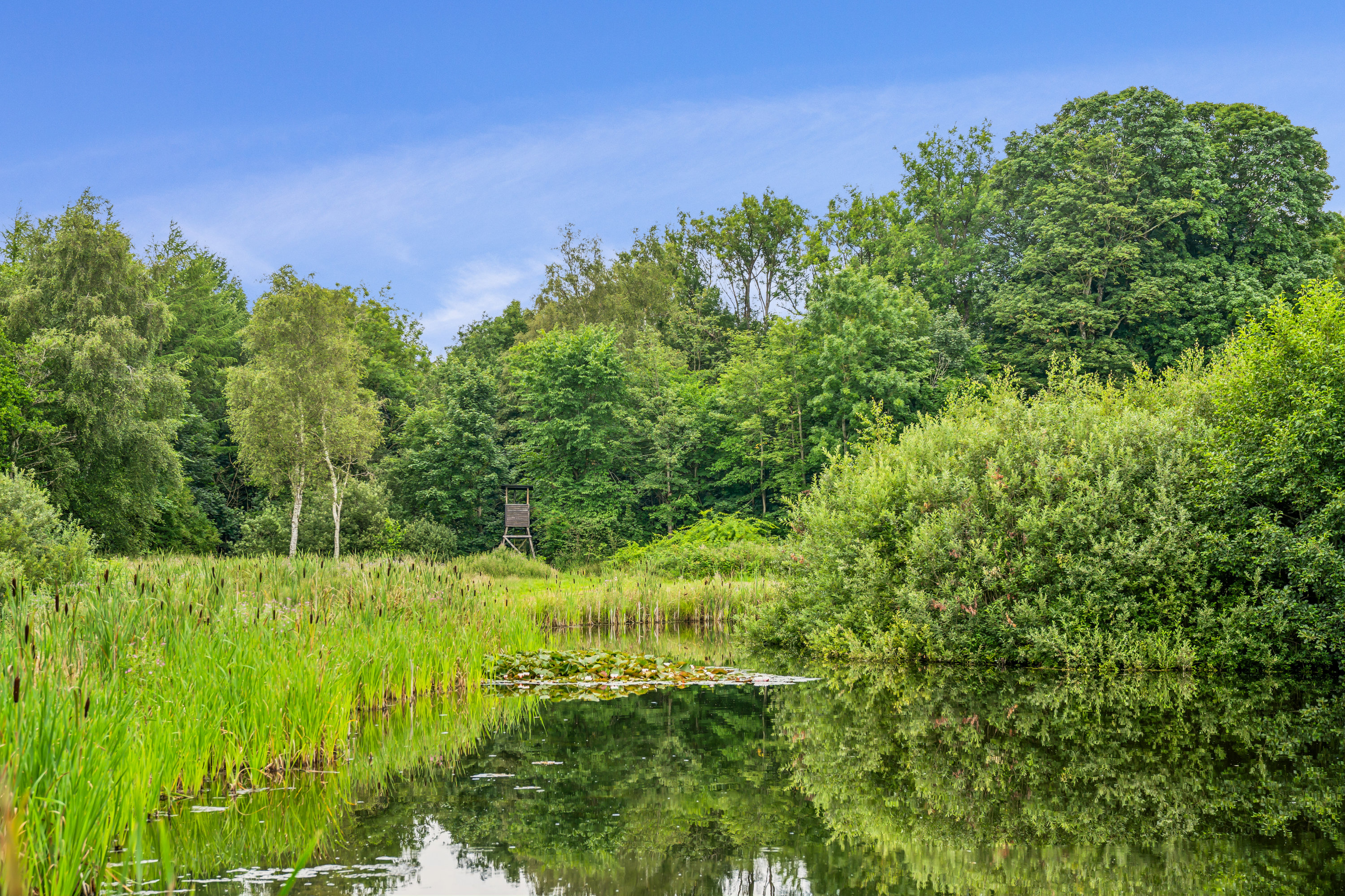 Fremhævet  billede i fuldskærmstilstand. Billede af Råkildevej 20, 9530 Støvring