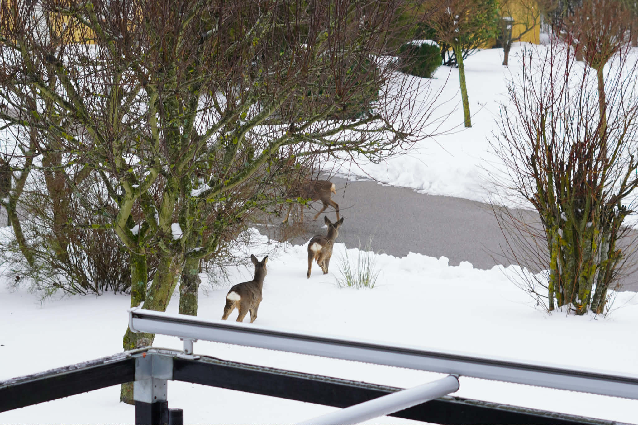 Fremhævet  billede i fuldskærmstilstand. Billede af Stensbjerg 15, 2600 Glostrup