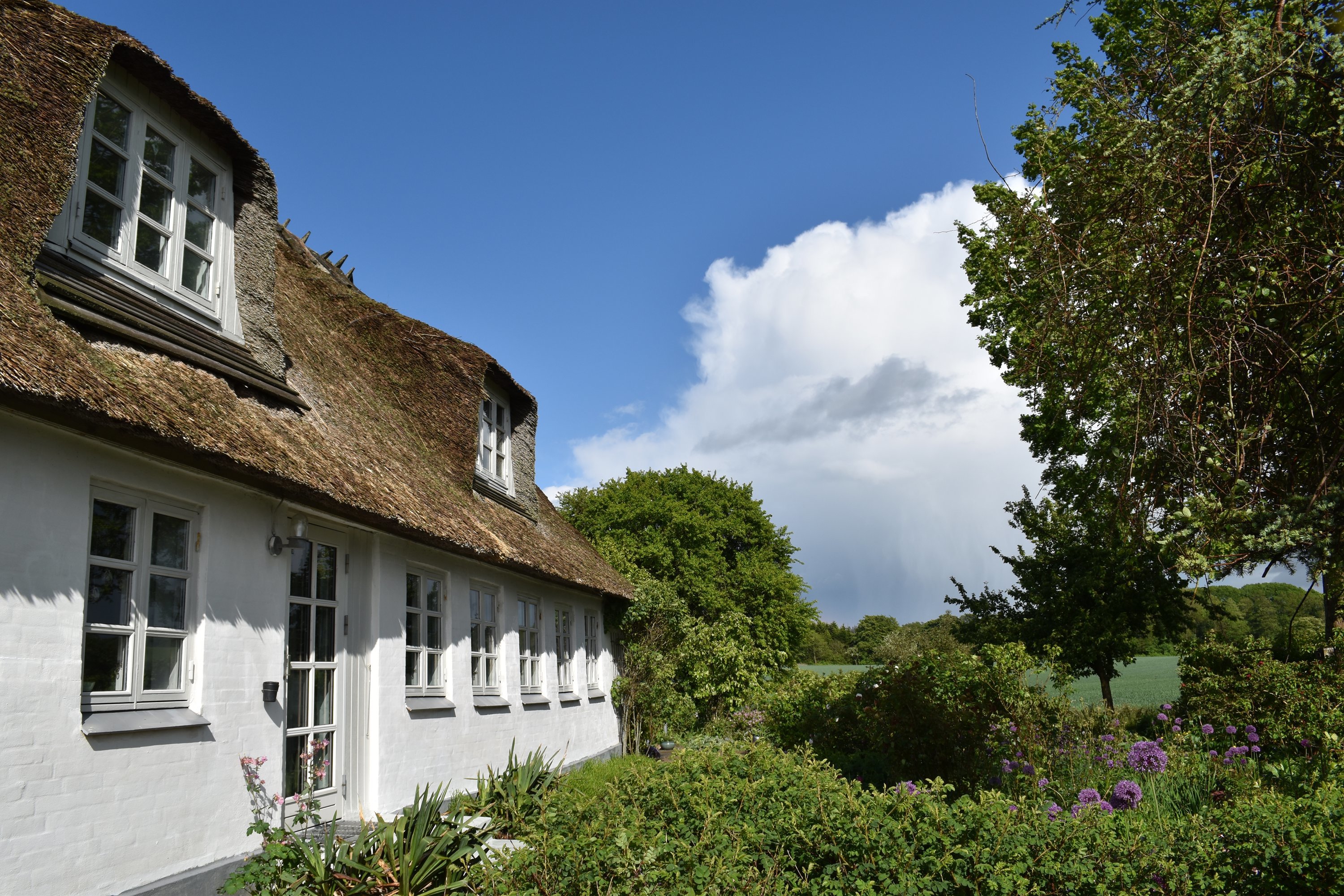 Fremhævet  billede i fuldskærmstilstand. Billede af Præstegyden 17, Ørsted, 5620 Glamsbjerg