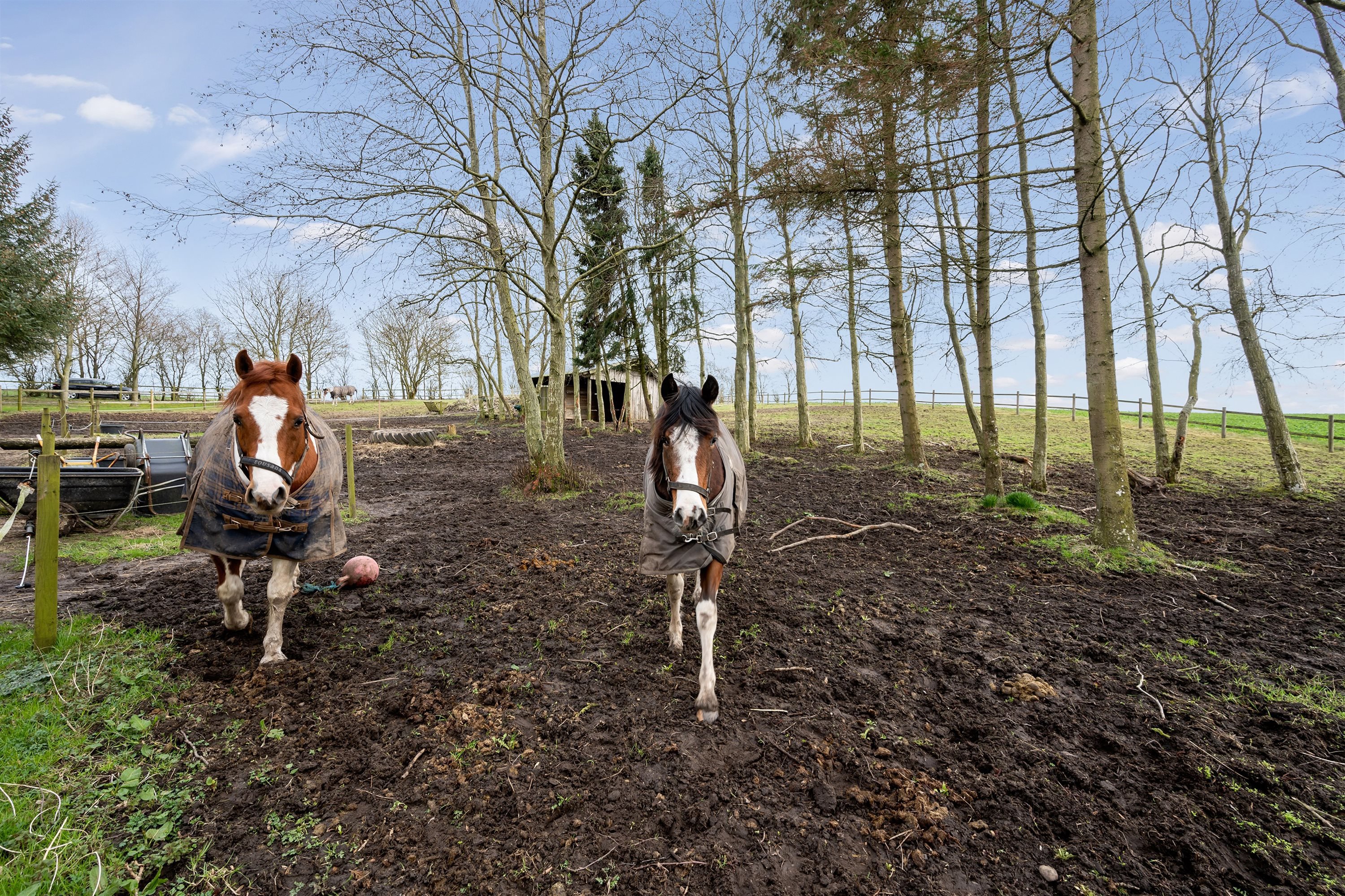 Fremhævet  billede i fuldskærmstilstand. Billede af Storhedevejen 17, 8850 Bjerringbro