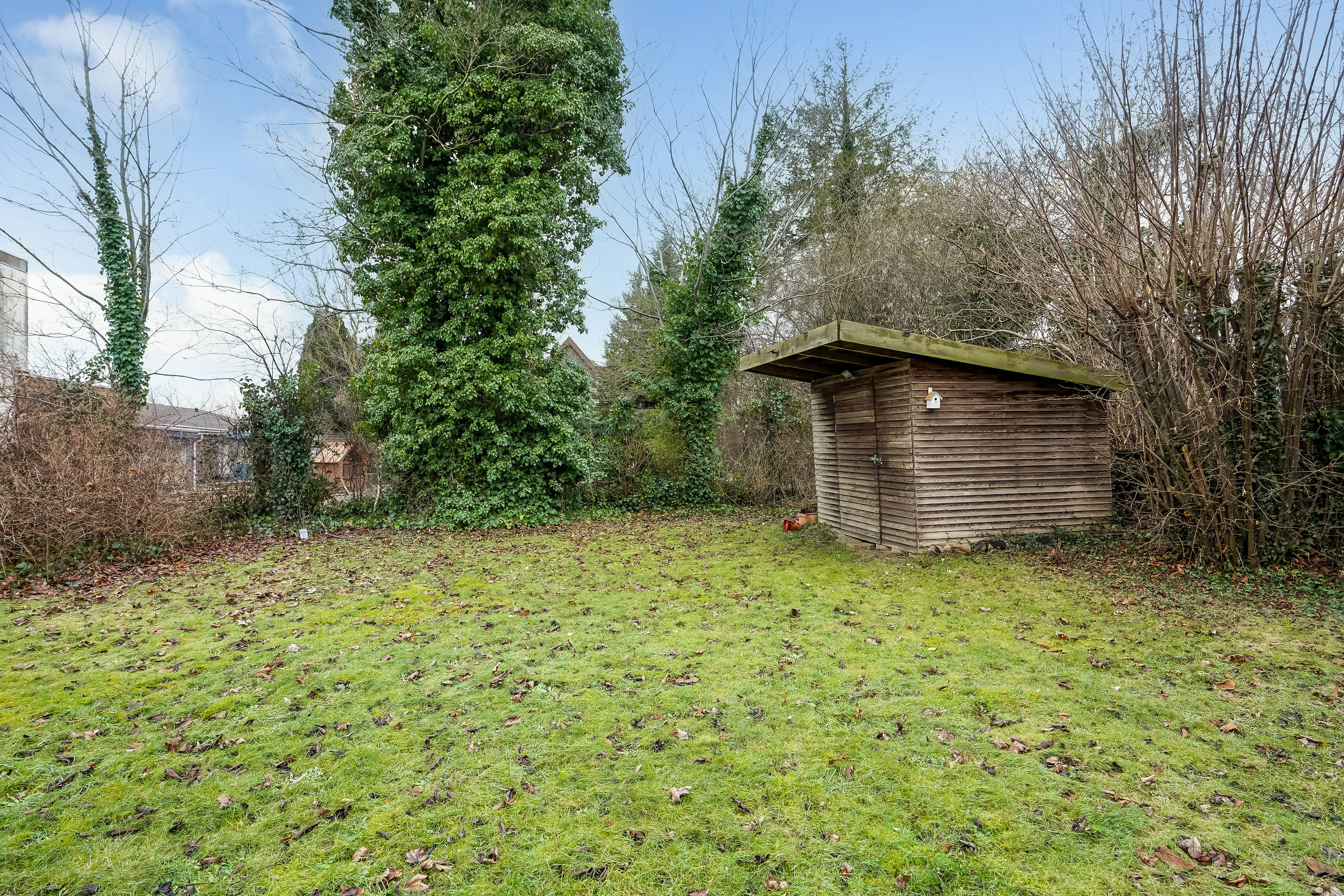 Fremhævet have billede i fuldskærmstilstand. Billede af Bogensevej 38B, st.., Næsby, 5270 Odense N